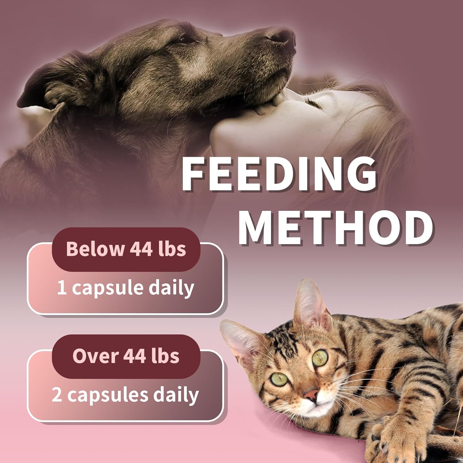 Fucoidan & Salmon Milt Immune Support Supplement for Dogs and Cats - Boost Immune System, Revitalize Health - 60 Capsules