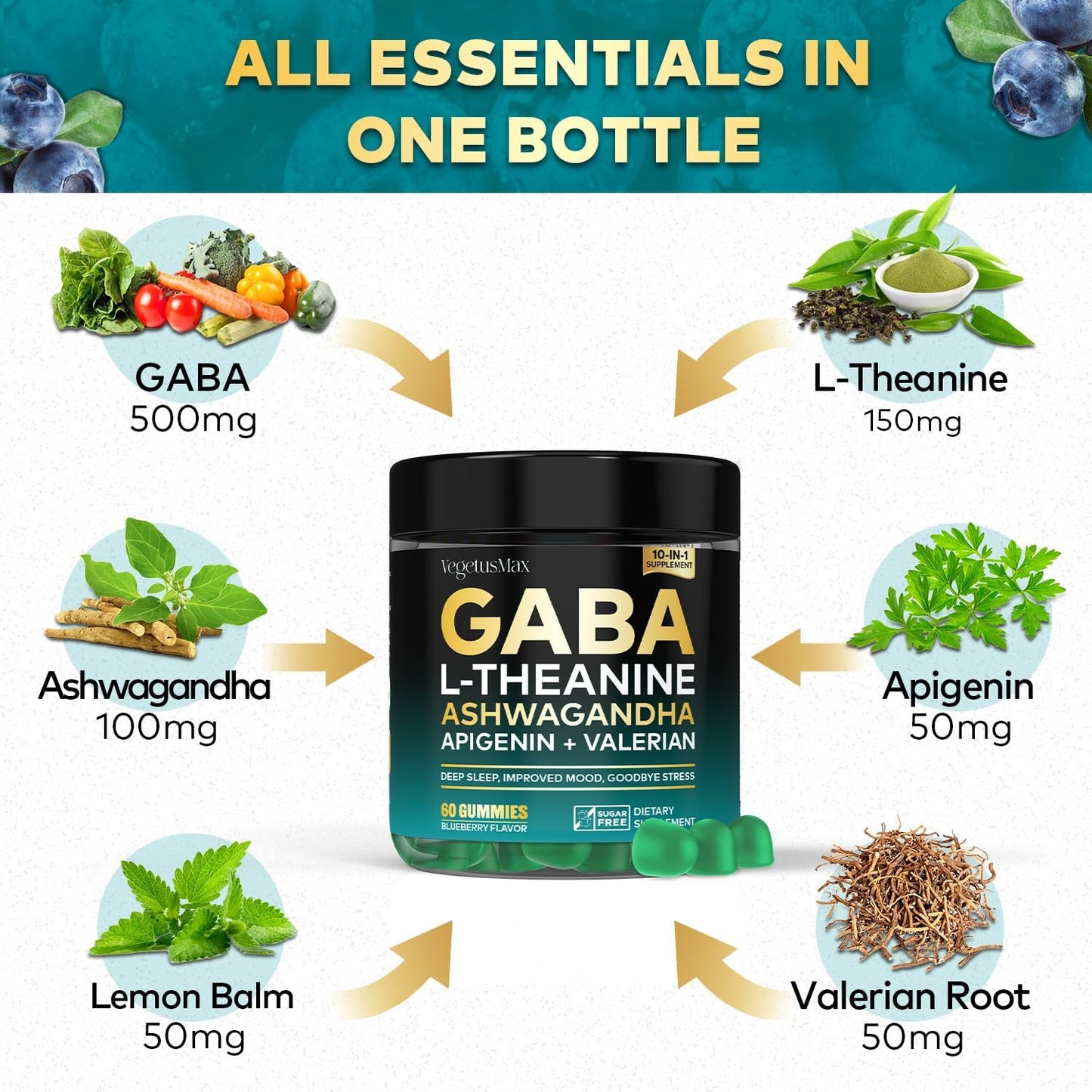 GABA L-Theanine Gummies Stress Relief Supplement with Ashwagandha & Magnesium - Calm, Sleep, Relax, Mood Support - Non-Habit Forming Blueberry Gummy