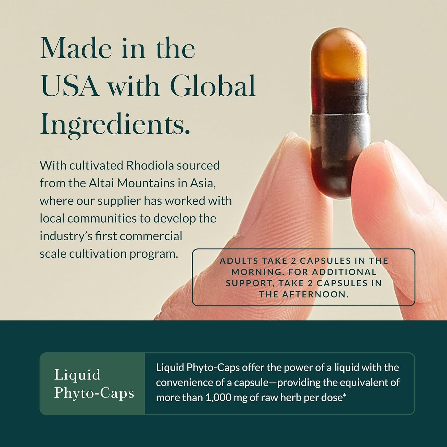 Gaia Herbs Adrenal Health Daily Support - Herbal Supplement with Ashwagandha, Holy Basil & Schisandra - Promotes Healthy Energy & Stress Levels - 60 Liquid Phyto-Capsules