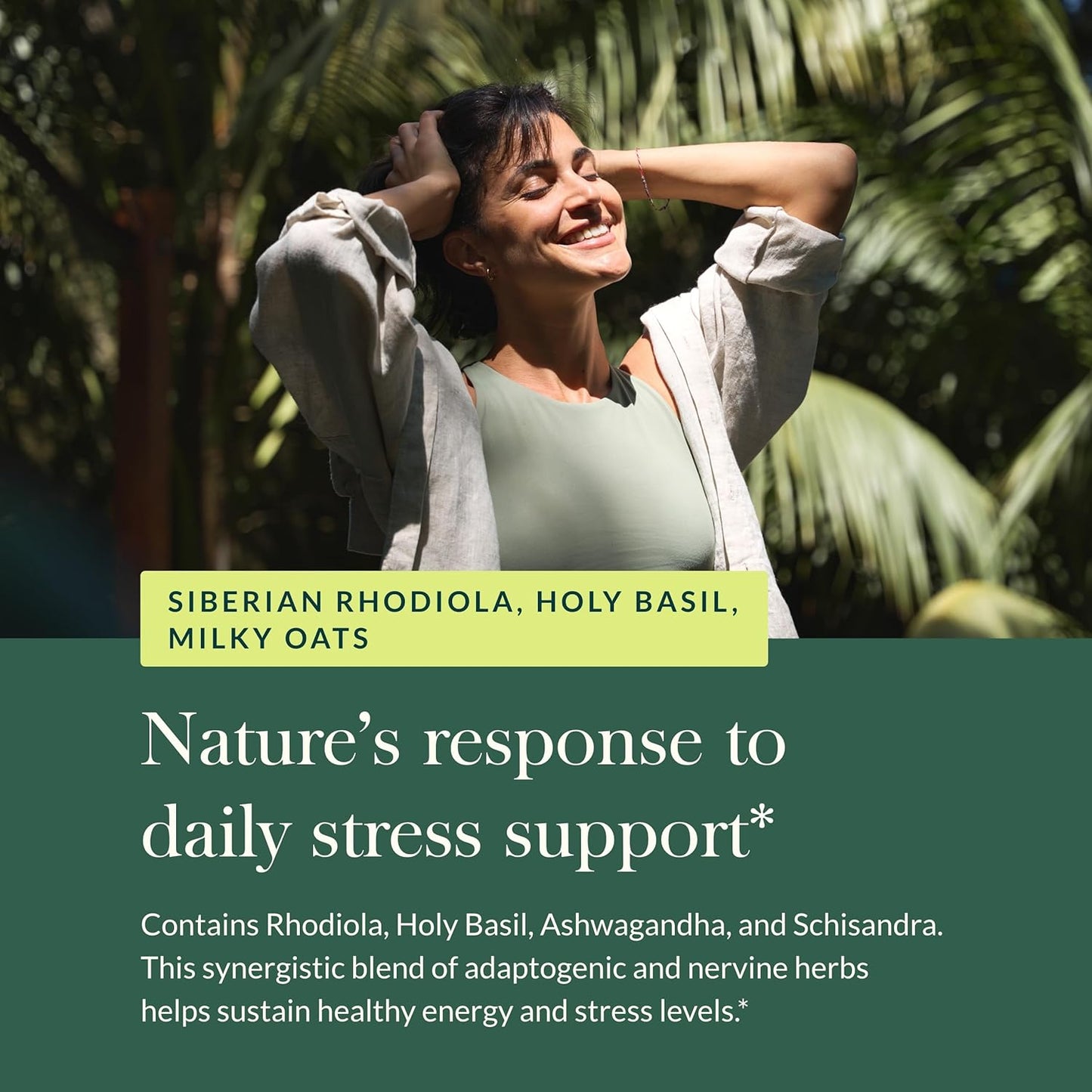 Gaia Herbs Adrenal Health Daily Support - Herbal Supplement with Ashwagandha, Holy Basil & Schisandra - Promotes Healthy Energy & Stress Levels - 60 Liquid Phyto-Capsules