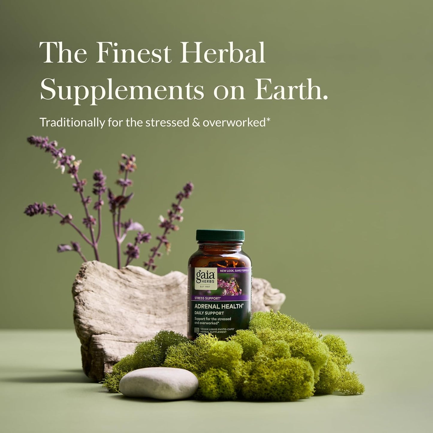 Gaia Herbs Adrenal Health Daily Support Liquid Phyto-Capsules - Herbal Supplement for Healthy Energy and Stress - 120 Count