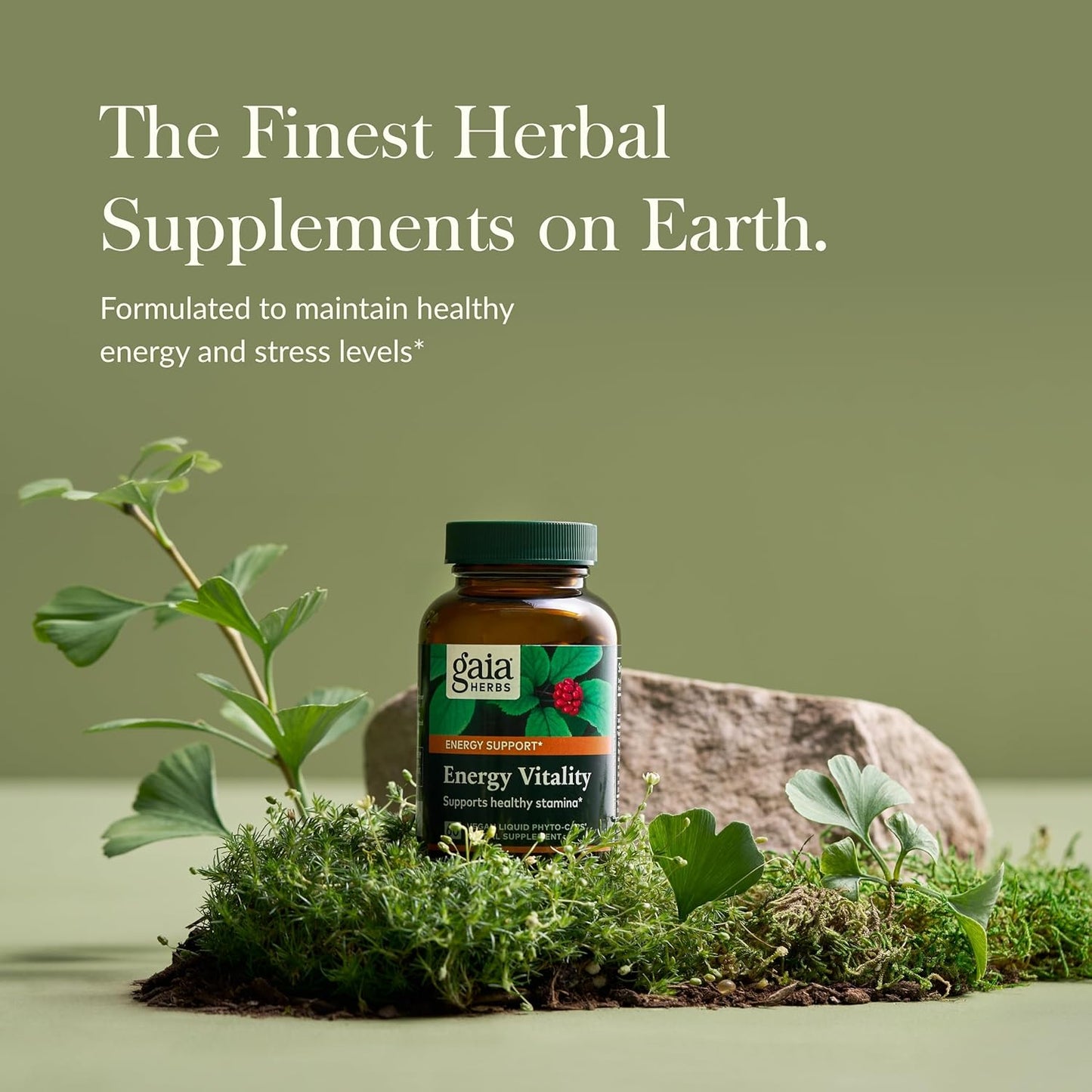Gaia Herbs Energy Vitality Supplement with Ginkgo & Ginseng for Healthy Energy & Stress - 60 Vegan Capsules