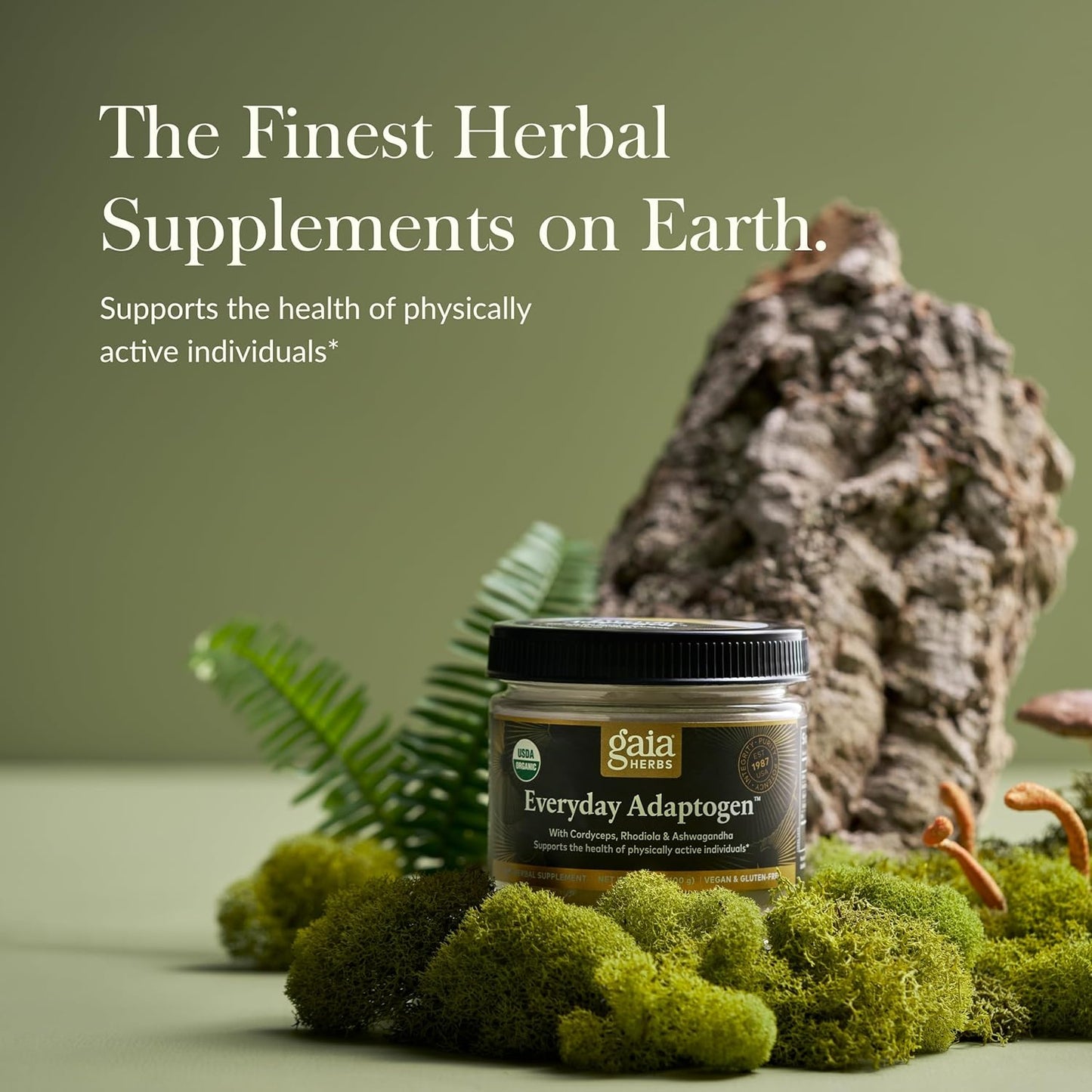 Gaia Herbs Everyday Adaptogen Powder - Energy Support & Stress Maintenance - Maca Root, Cordyceps, Ashwagandha - 3.5 Oz