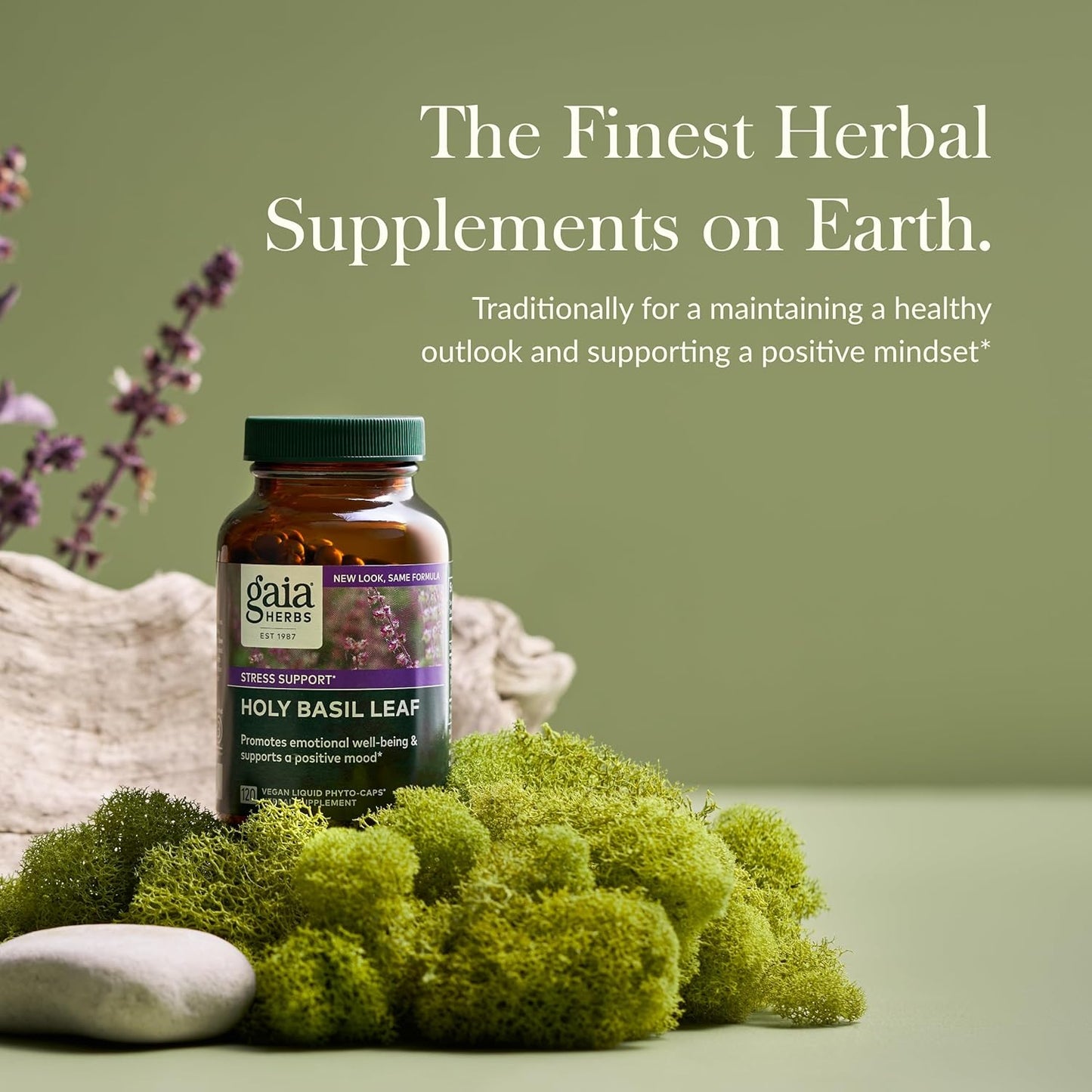 Gaia Herbs Holy Basil Leaf Liquid Phyto-Capsules - Ayurvedic Adaptogen for Stress Balance - 120 Capsules