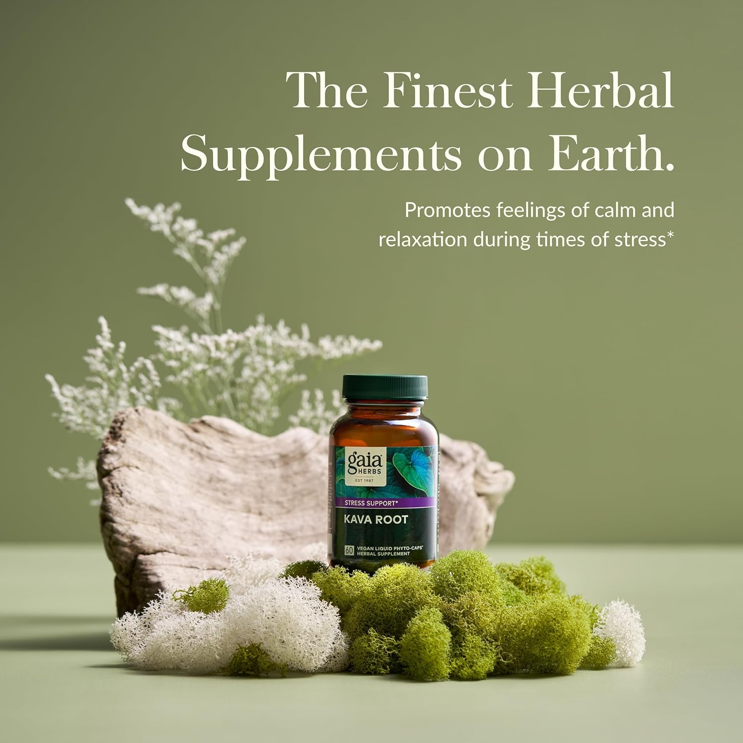 Gaia Herbs Kava Root Capsules - Promotes Natural Calm and Relaxation in Stressful Times - Noble Kava Cultivars - 60 Vegan Liquid Phyto-Caps