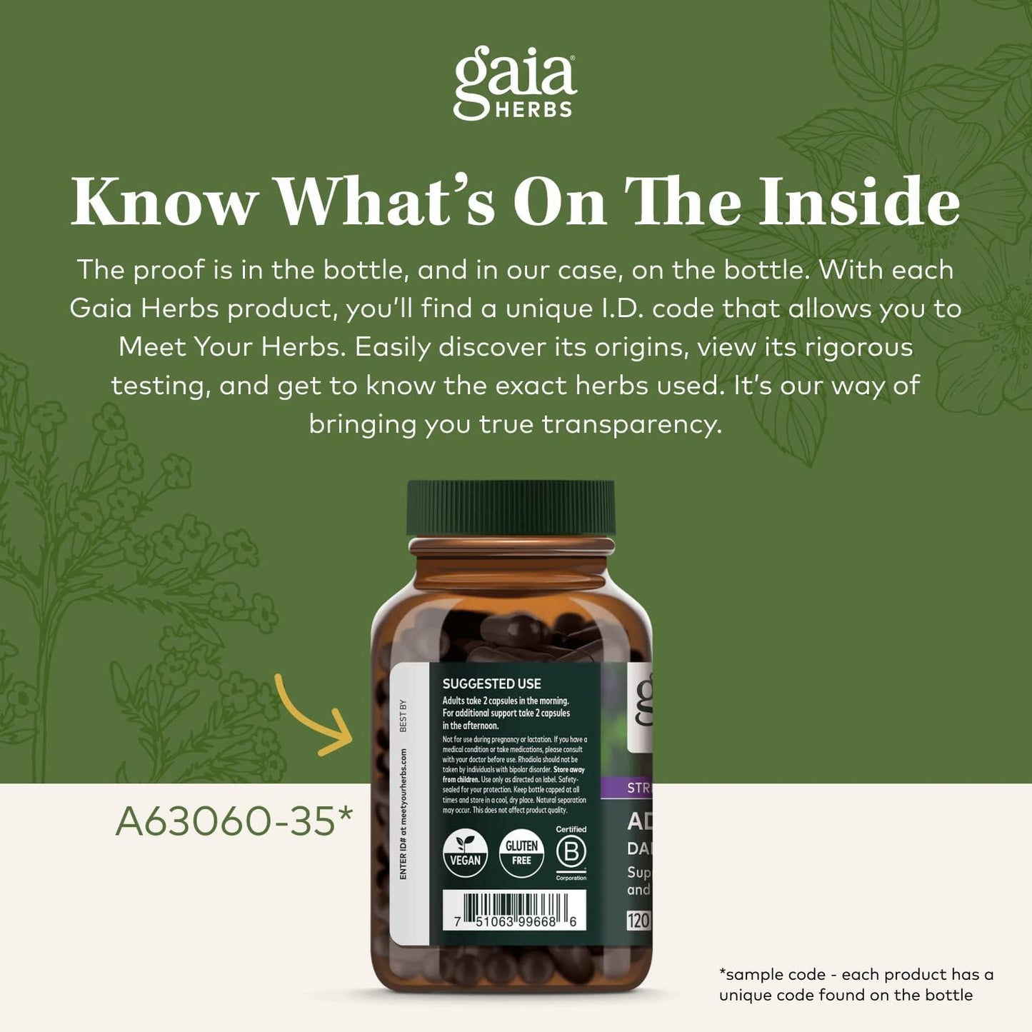 Gaia Herbs Kava Root Capsules - Promotes Natural Calm and Relaxation in Stressful Times - Noble Kava Cultivars - 60 Vegan Liquid Phyto-Caps