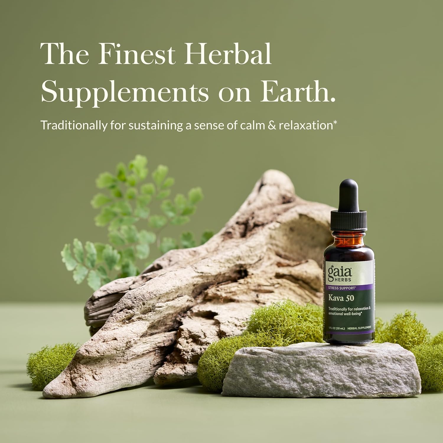 Gaia Herbs Kava Root Extra Strength - Promotes Natural Calmness and Emotional Wellness in Stressful Times - Noble Kava Cultivars - 1 Fl Oz