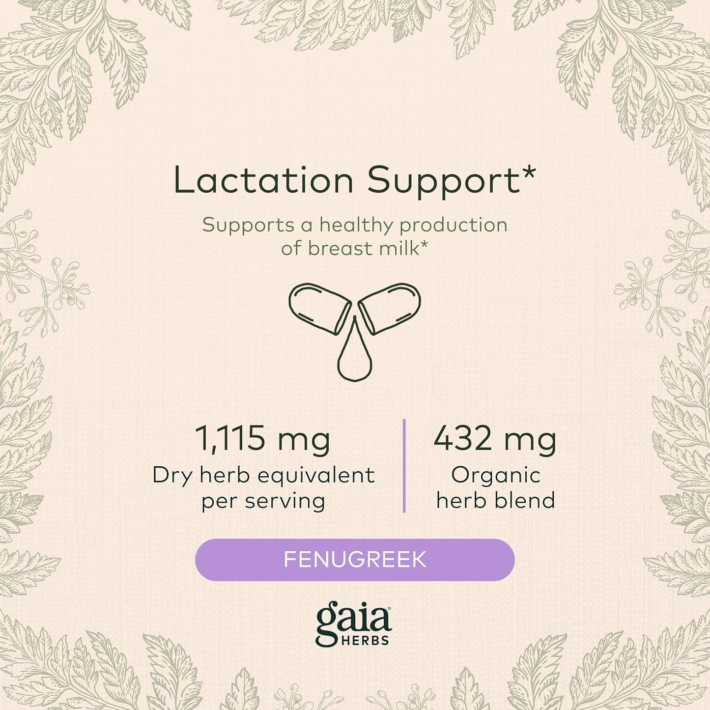 Gaia Herbs Lactation Support Capsules - Vegan Fenugreek & Fennel Seed Blend for Nursing Mothers - 120 Liquid Caps (40-Day Supply)