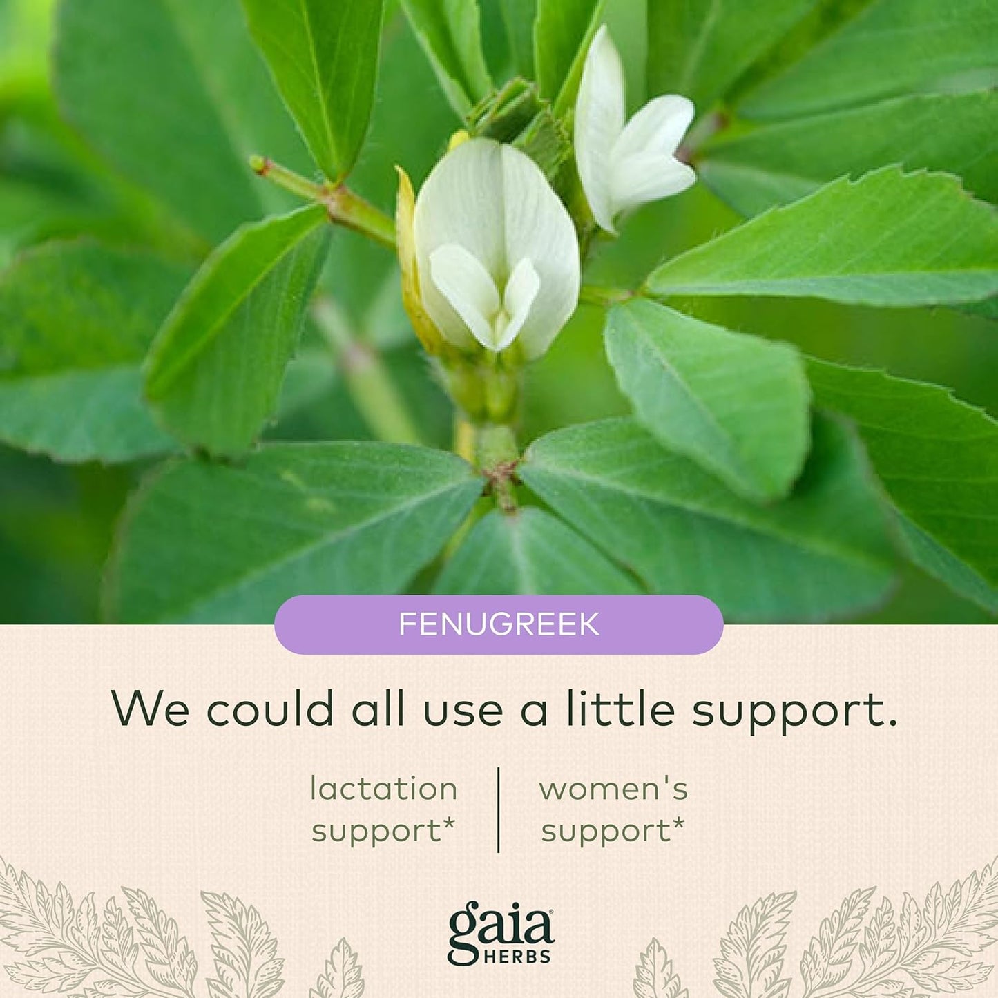 Gaia Herbs Lactation Support Capsules - Vegan Fenugreek & Fennel Seed Blend for Nursing Mothers - 120 Liquid Caps (40-Day Supply)
