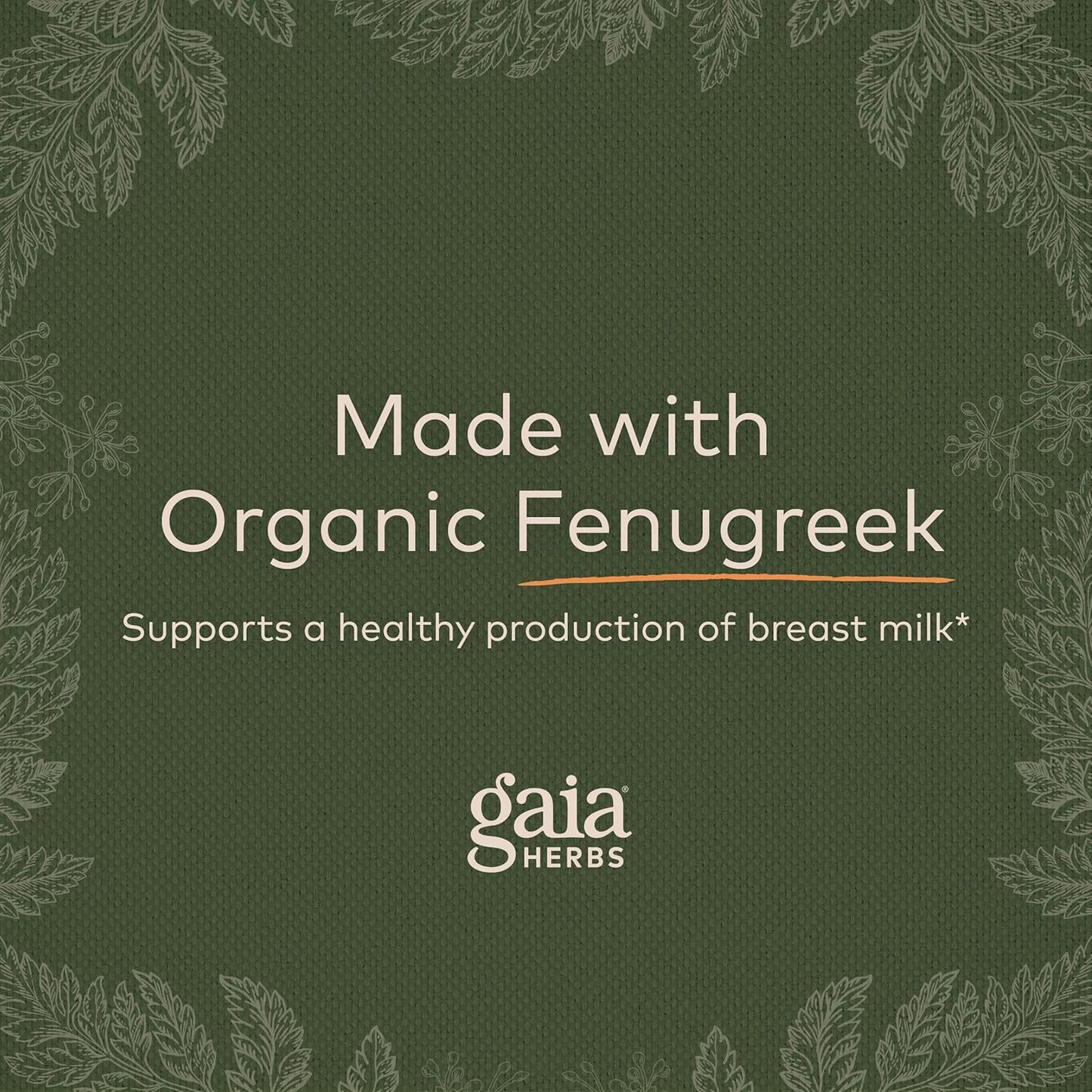 Gaia Herbs Lactation Support Capsules - Vegan Fenugreek & Fennel Seed Blend for Nursing Mothers - 120 Liquid Caps (40-Day Supply)