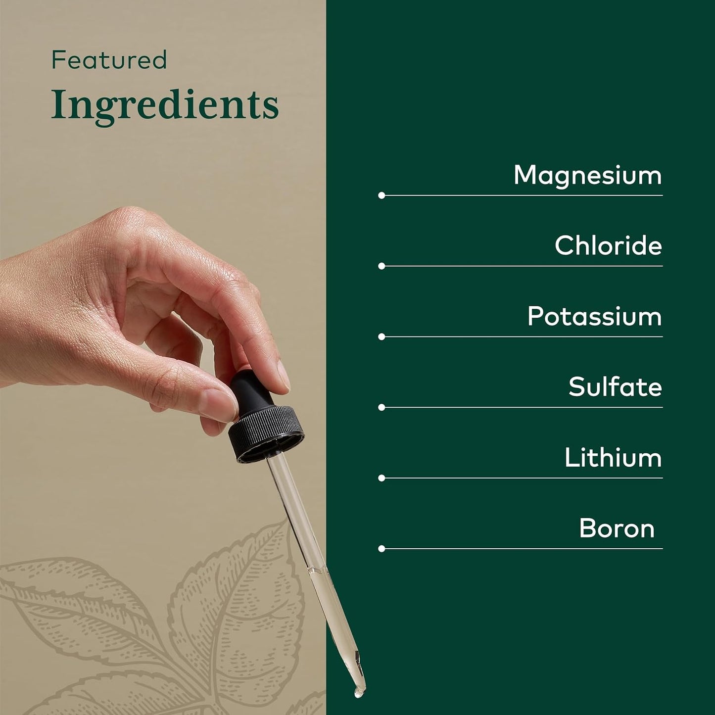 Gaia Herbs Liquid Magnesium Supplement with Trace Minerals - Supports Cellular Energy & DNA - 4 fl oz (48 Servings)