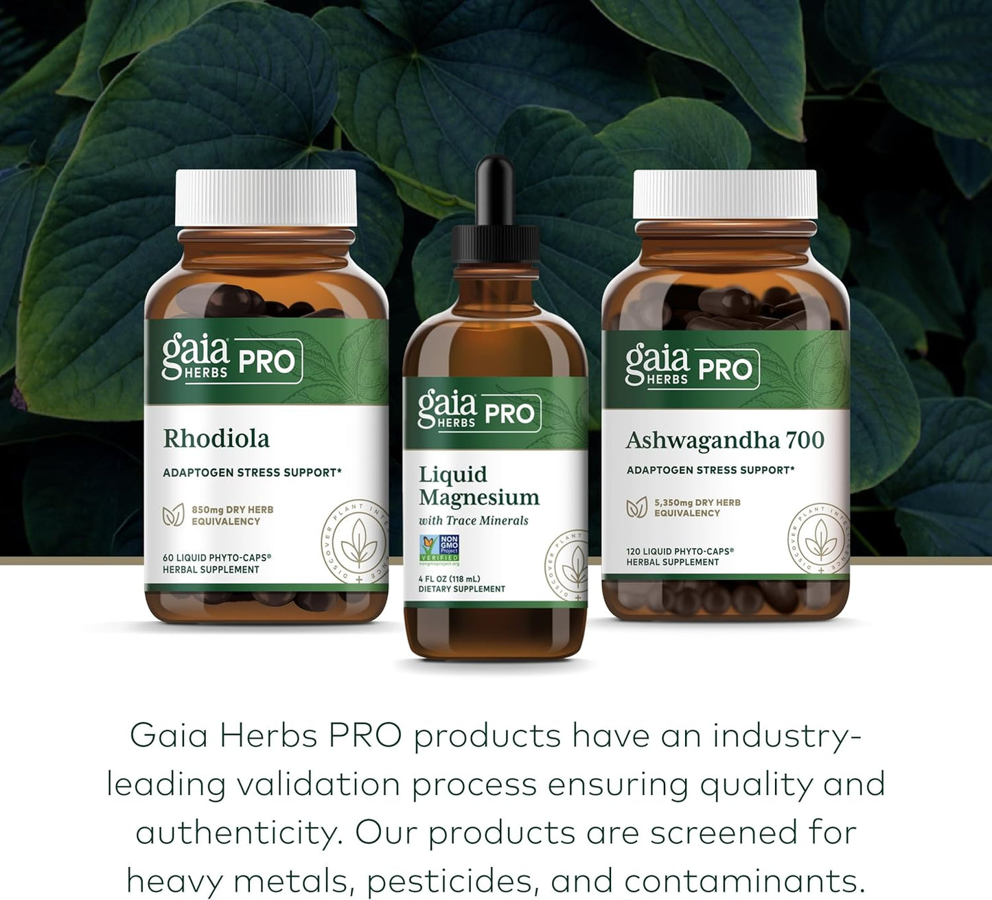 Gaia Herbs Liquid Magnesium Supplement with Trace Minerals - Supports Cellular Energy & DNA - 4 fl oz (48 Servings)