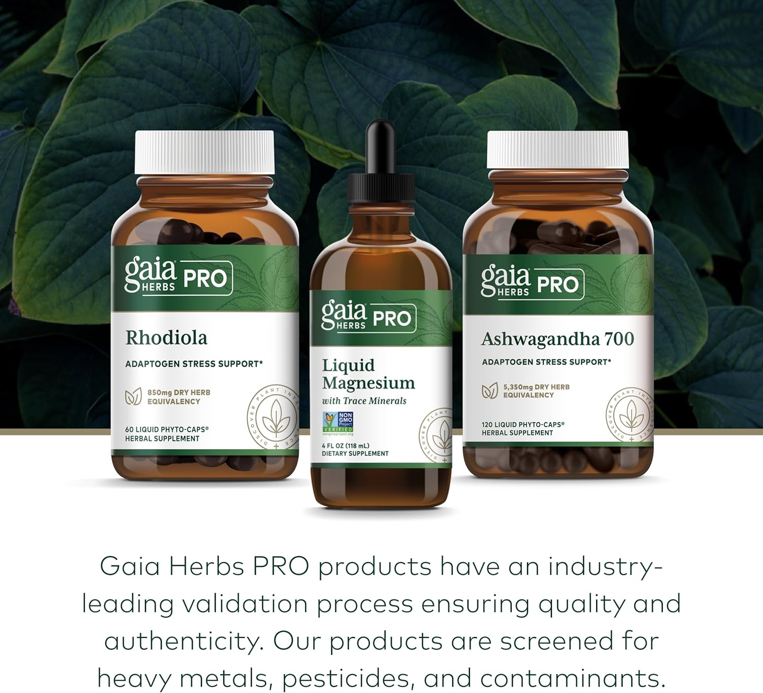 Gaia Herbs Liquid Magnesium Supplement with Trace Minerals - Supports Cellular Energy & DNA - 4 fl oz (48 Servings)