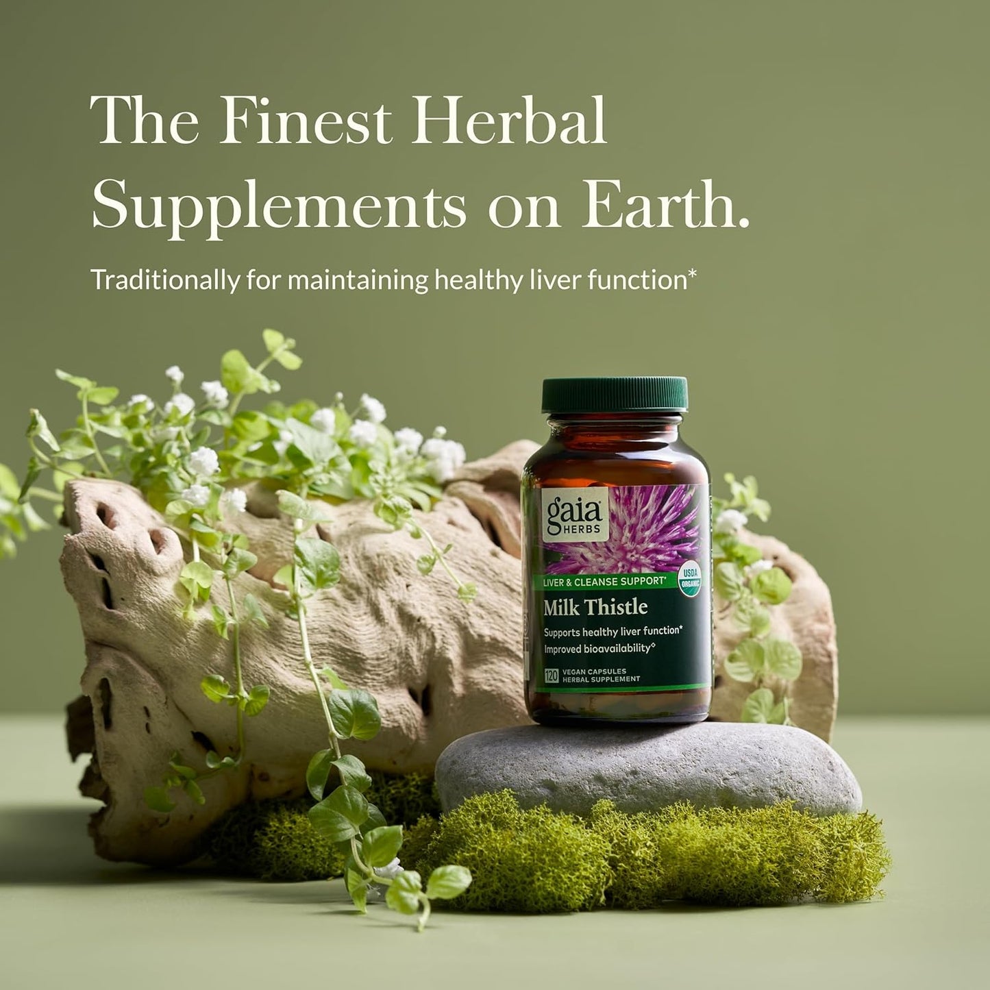 Gaia Herbs Milk Thistle Capsules - Vegan Liver Support Supplement for Healthy Liver Function - 120 Capsules