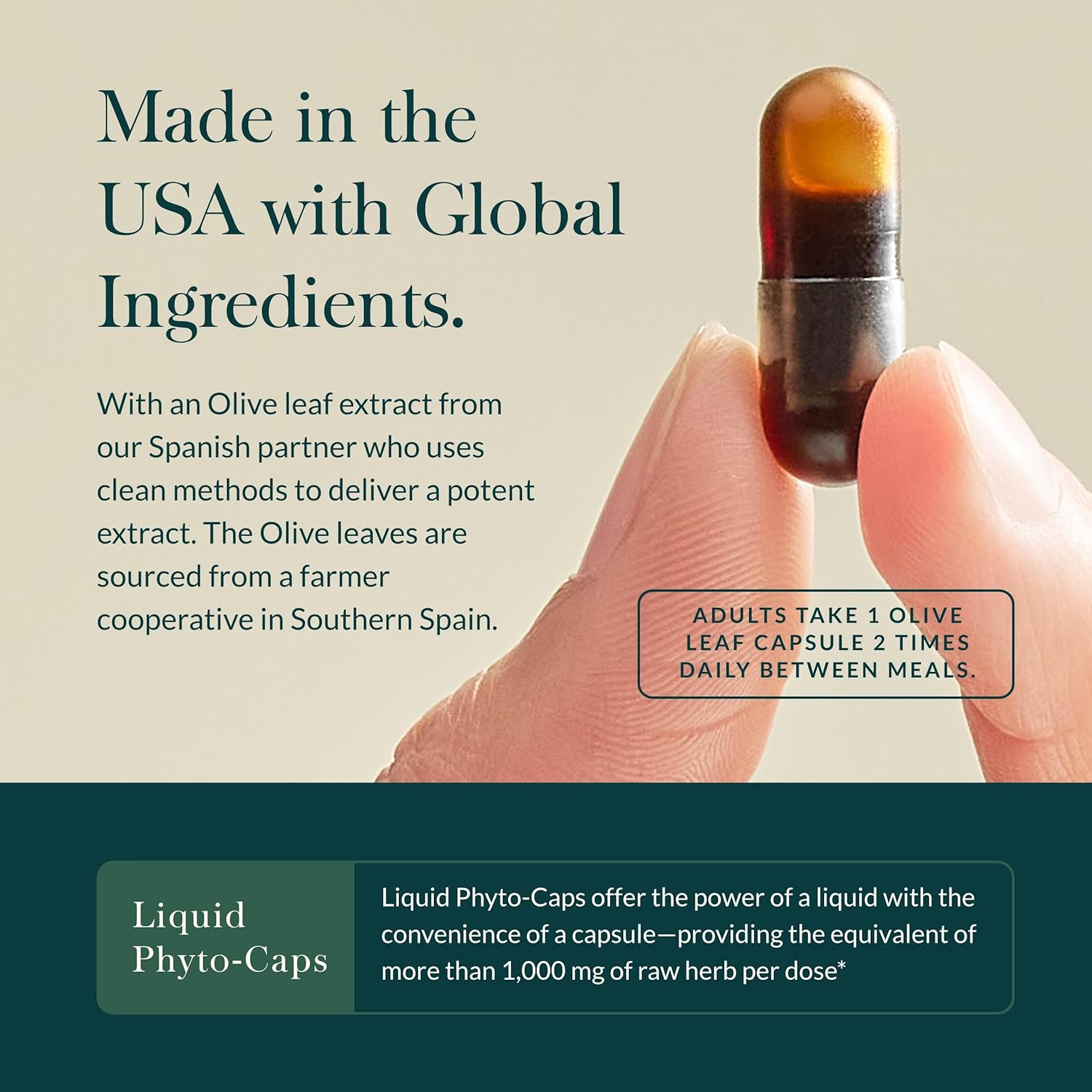 Gaia Herbs Olive Leaf Extract Supplement - Immune System Support - 60 Vegan Liquid Capsules with Oleuropein