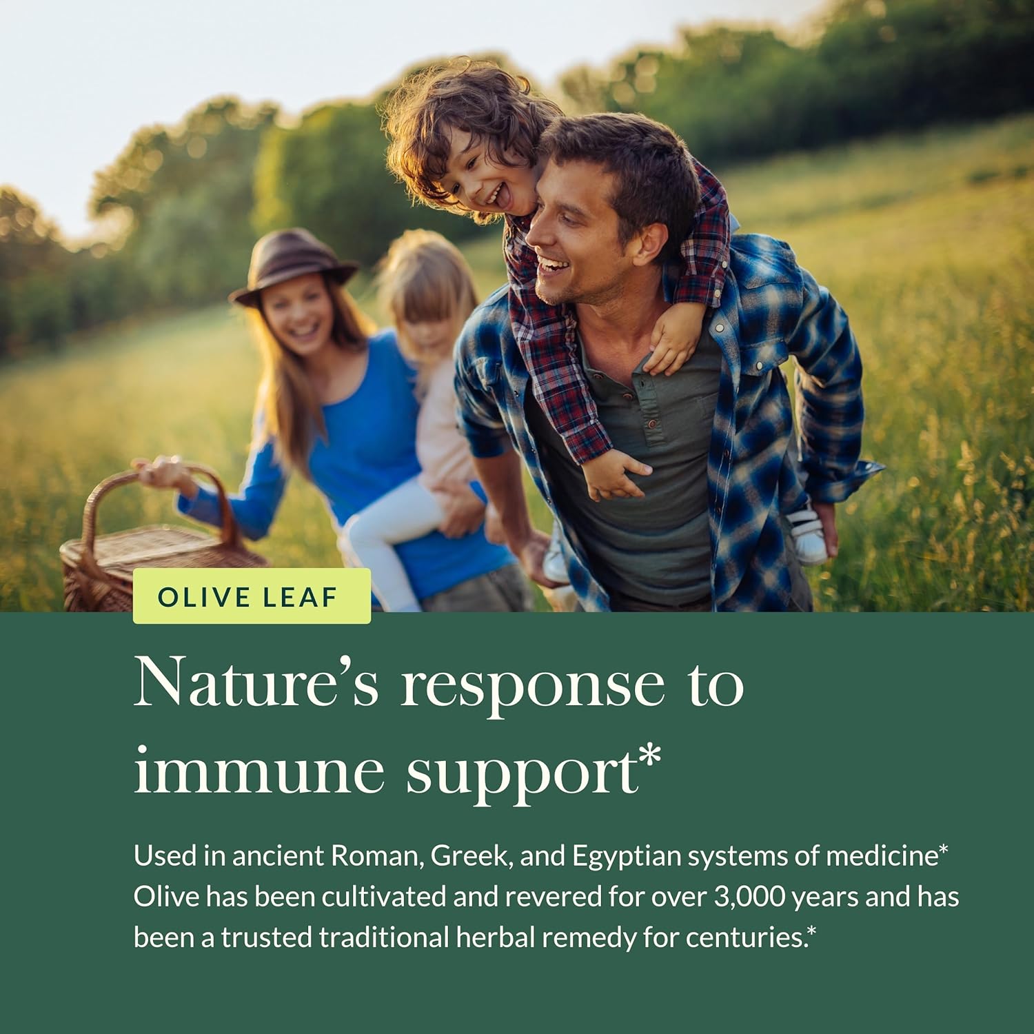 Gaia Herbs Olive Leaf Extract Supplement - Immune System Support - 60 Vegan Liquid Capsules with Oleuropein