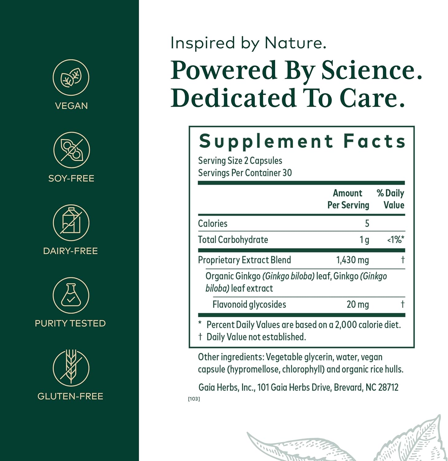 Gaia Herbs Pro Ginkgo Memory Supplement - Supports Blood Circulation & Brain Function - 60 Vegan Liquid Capsules