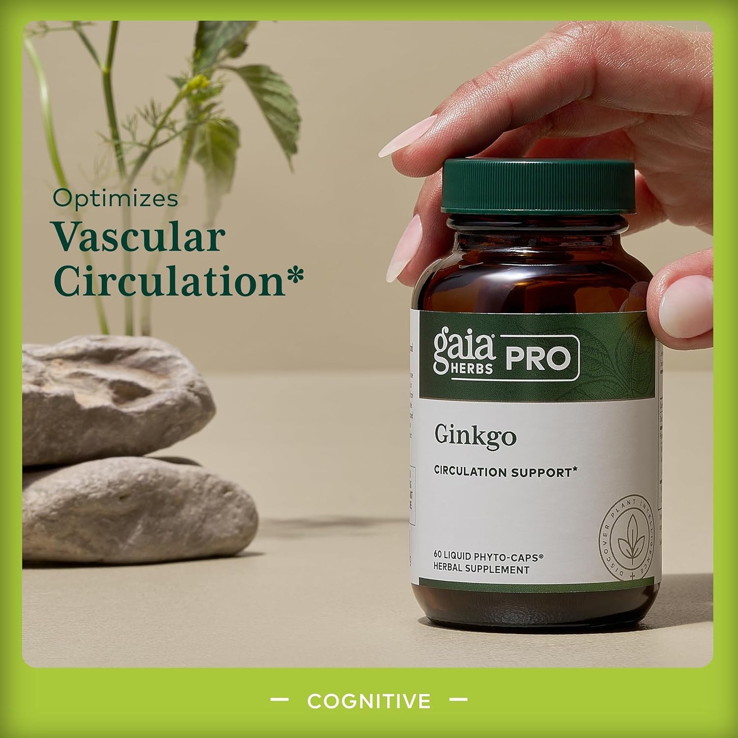 Gaia Herbs Pro Ginkgo Memory Supplement - Supports Blood Circulation & Brain Function - 60 Vegan Liquid Capsules