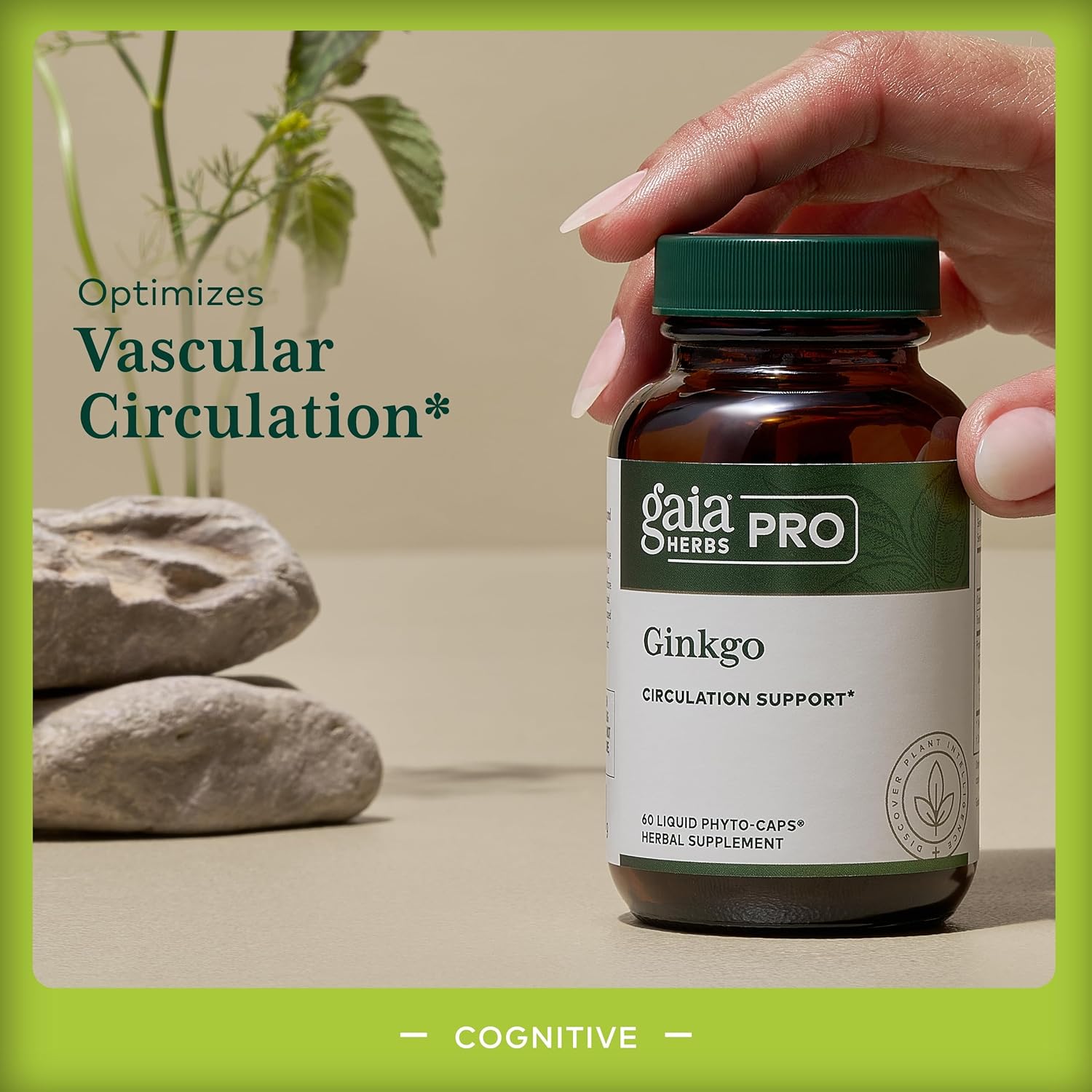 Gaia Herbs Pro Ginkgo Memory Supplement - Supports Blood Circulation & Brain Function - 60 Vegan Liquid Capsules