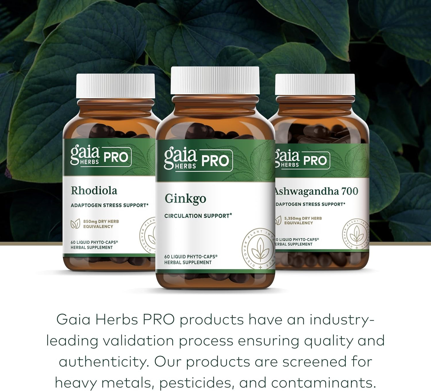 Gaia Herbs Pro Ginkgo Memory Supplement - Supports Blood Circulation & Brain Function - 60 Vegan Liquid Capsules