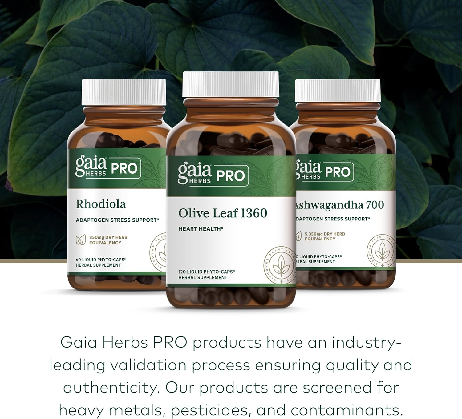 Gaia Herbs PRO Olive Leaf Extract - 1360 mg Immune Support Supplement