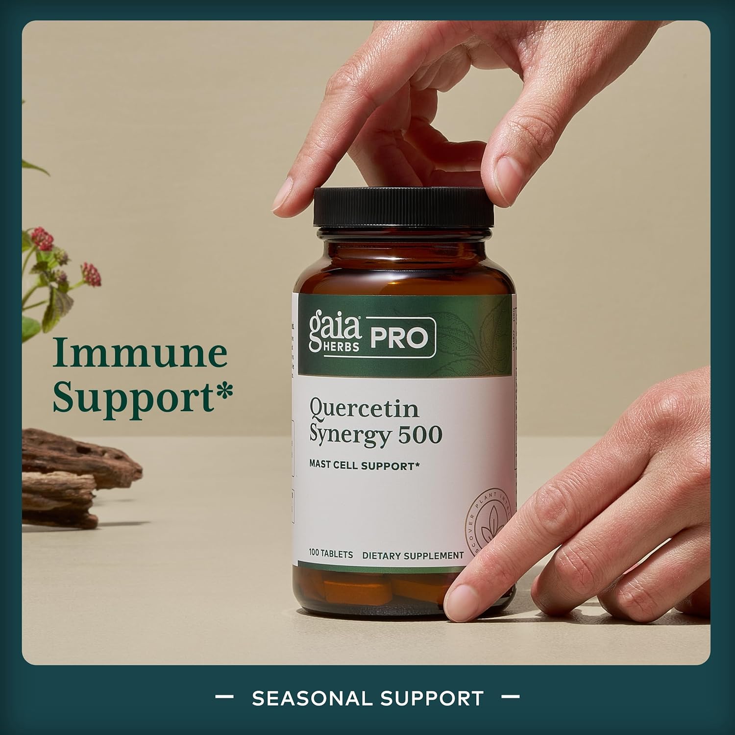 Gaia Herbs Pro Quercetin Synergy - Mast Cell Support Supplement with Vitamin C, Manganese, Bromelain, Turmeric - 100 Vegan Tablets