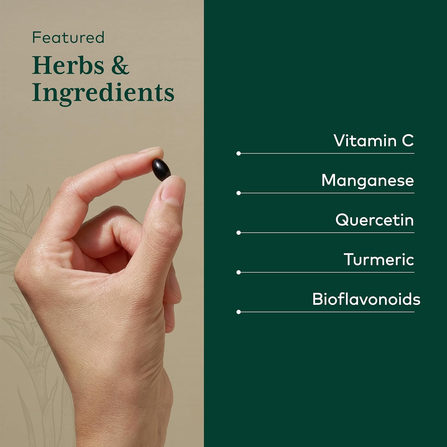 Gaia Herbs Pro Quercetin Synergy - Mast Cell Support Supplement with Vitamin C, Manganese, Bromelain, Turmeric - 100 Vegan Tablets