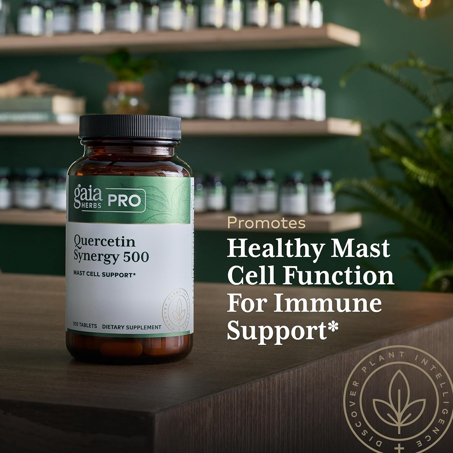 Gaia Herbs Pro Quercetin Synergy - Mast Cell Support Supplement with Vitamin C, Manganese, Bromelain, Turmeric - 100 Vegan Tablets