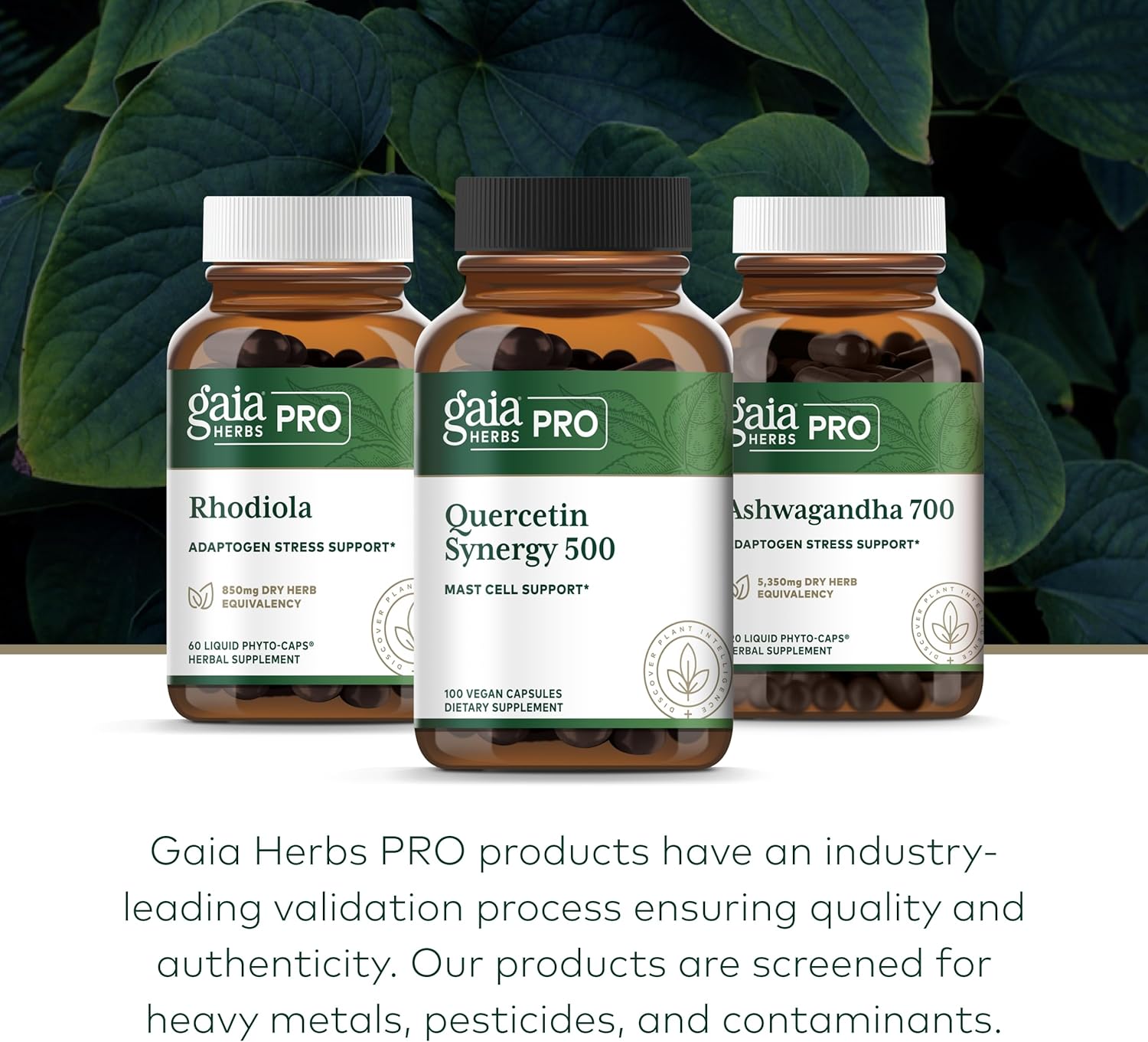 Gaia Herbs Pro Quercetin Synergy - Mast Cell Support Supplement with Vitamin C, Manganese, Bromelain, Turmeric - 100 Vegan Tablets