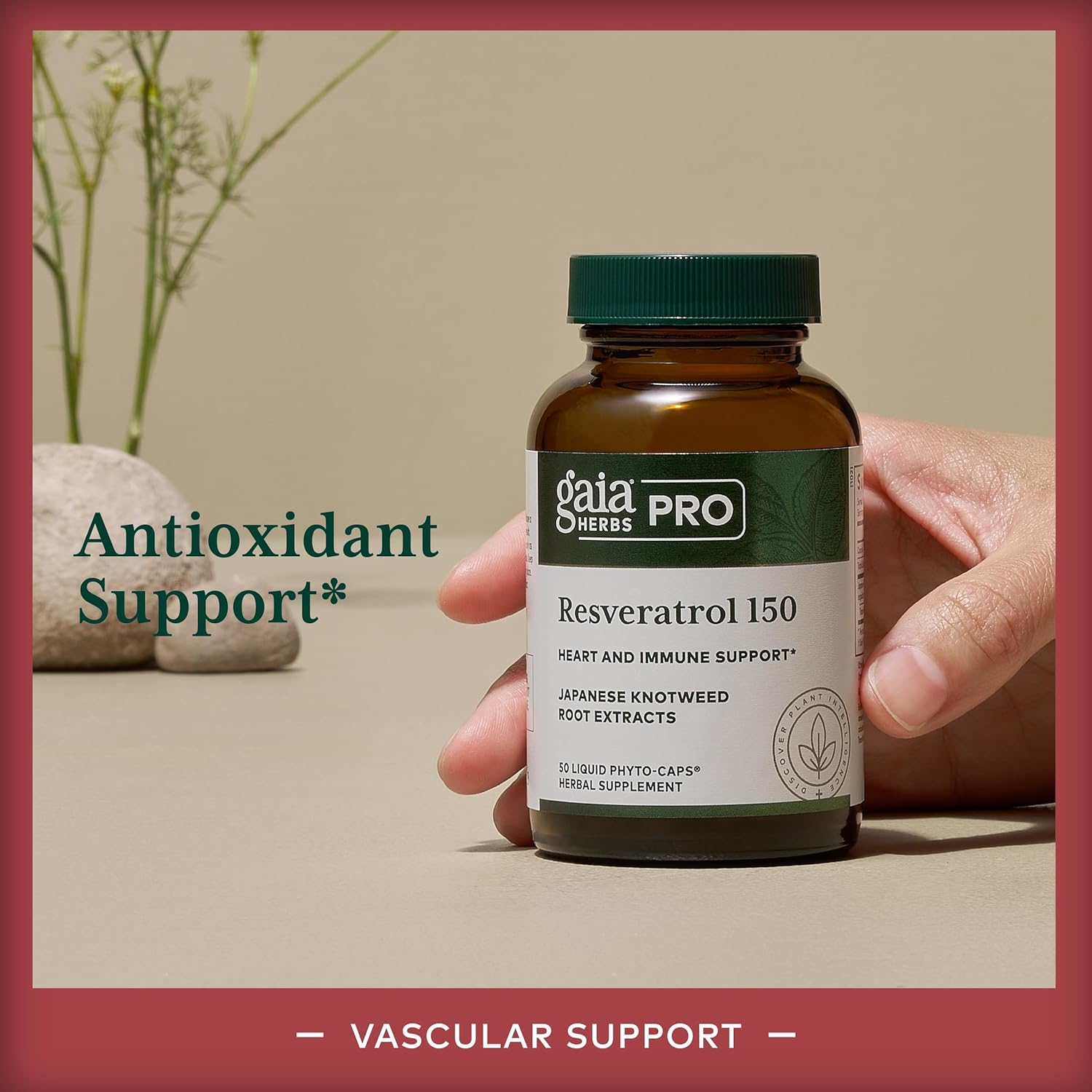 Gaia Herbs PRO Resveratrol 150 Supplement - Antioxidant Support for Overall Health