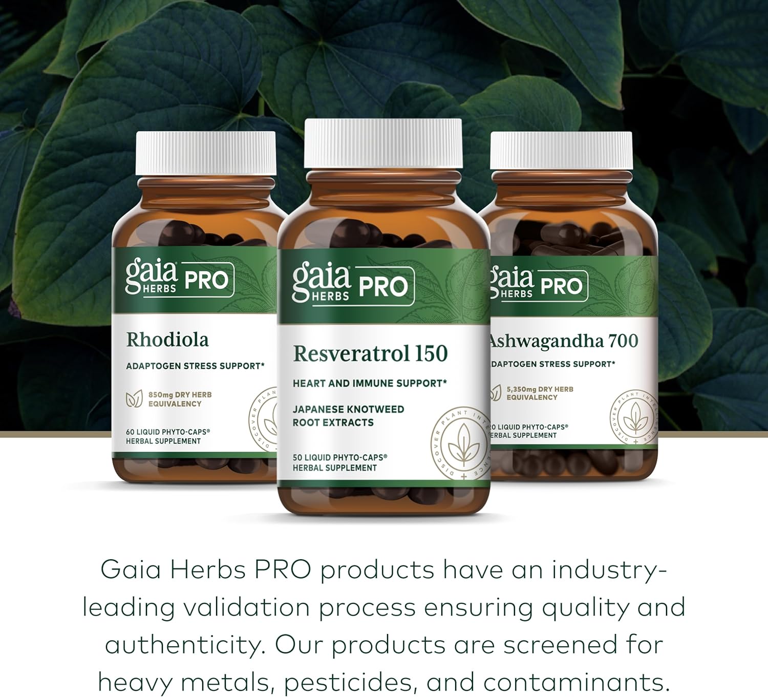 Gaia Herbs PRO Resveratrol 150 Supplement - Antioxidant Support for Overall Health