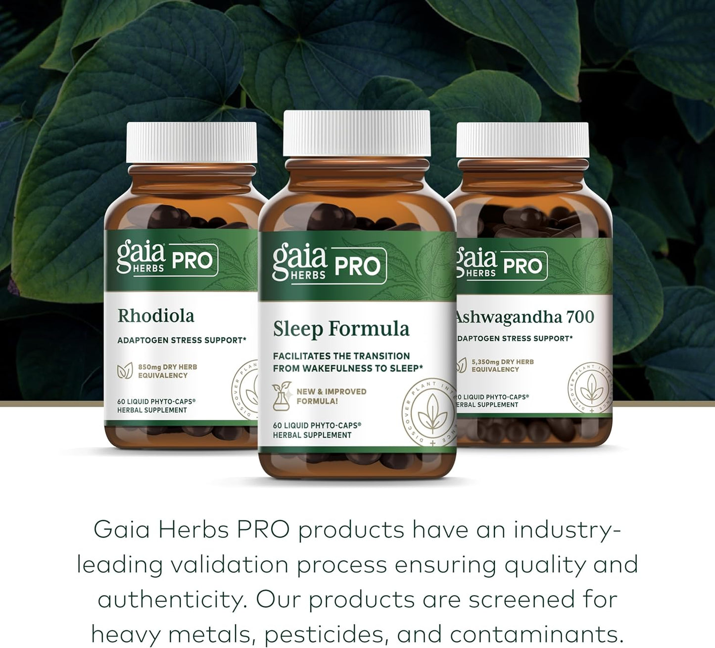 Gaia Herbs Professional Sleep Formula - 60 Liquid-Filled Capsules for Restful Sleep