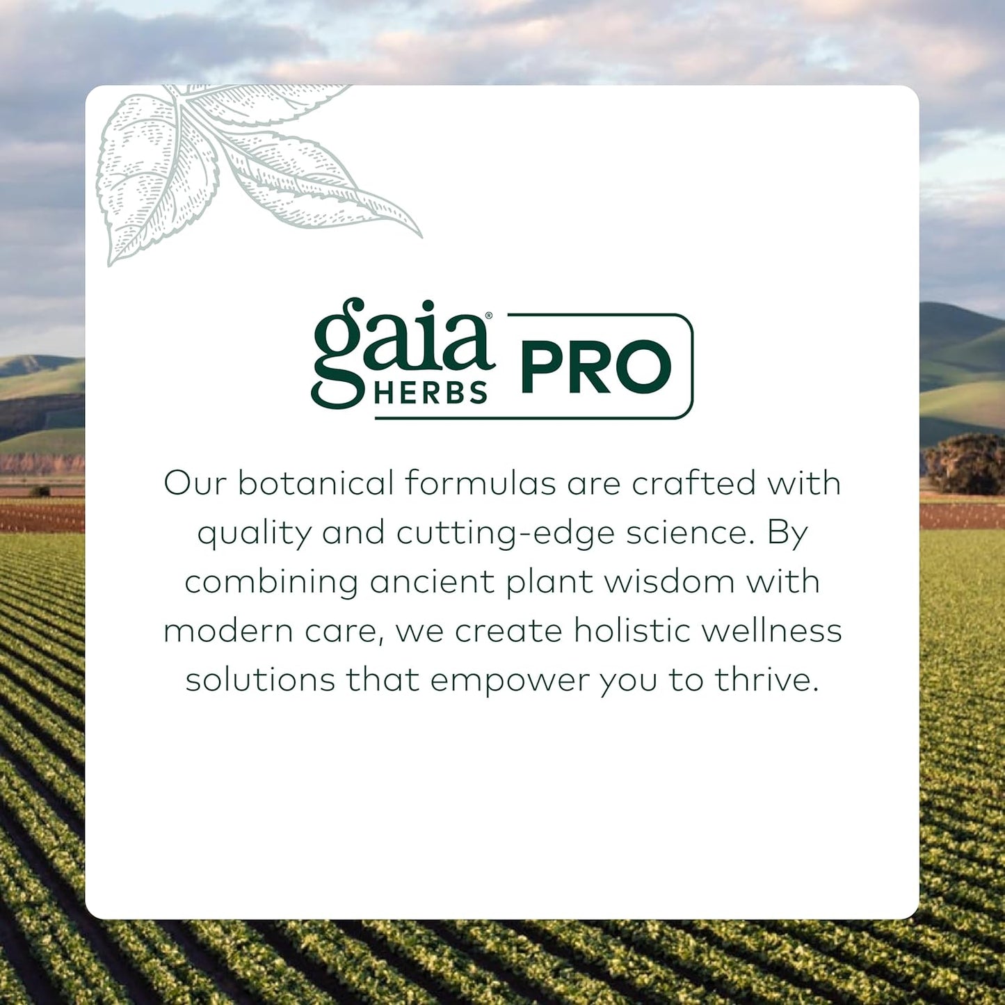 Gaia Herbs Professional Sleep Formula - 60 Liquid-Filled Capsules for Restful Sleep