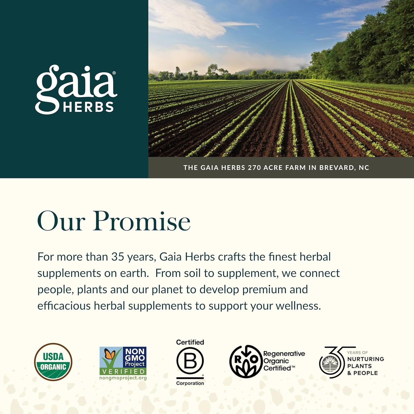 Gaia Herbs Prostate Health Supplement - Saw Palmetto, Green Tea, Nettle Root, White Sage - 120 Vegan Capsules