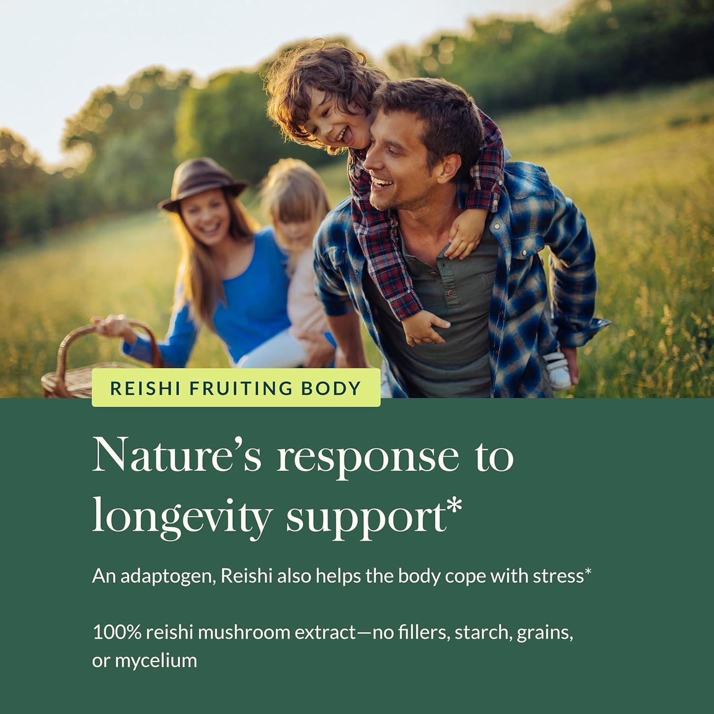 Gaia Herbs Reishi Mushroom Vegan Liquid Phyto-Capsules - Immune & Heart Health Support - Adaptogen Herbal Supplement for Longevity - 40 Capsules