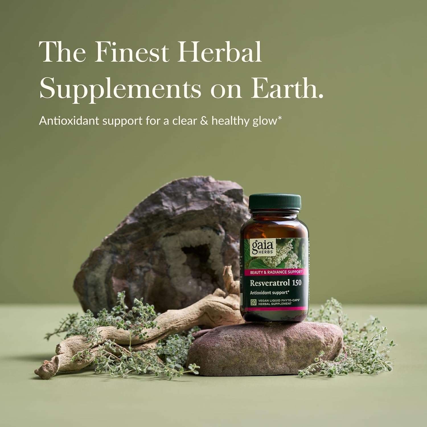 Gaia Herbs Resveratrol 150 - Japanese Knotweed Antioxidant Supplement - 150mg Trans-Resveratrol - Beauty & Radiance Support - 50 Liquid Phyto-Capsules