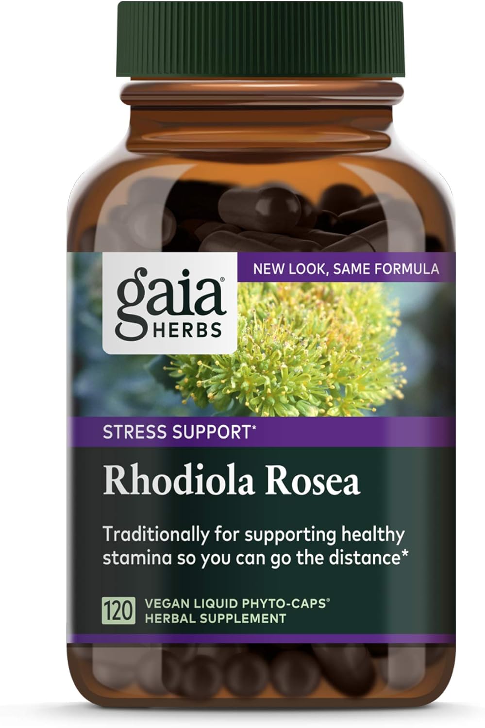 Gaia Herbs Rhodiola Rosea Liquid Capsules - Vegan Stress Support Supplement, Adaptogenic Herb - 120 Count