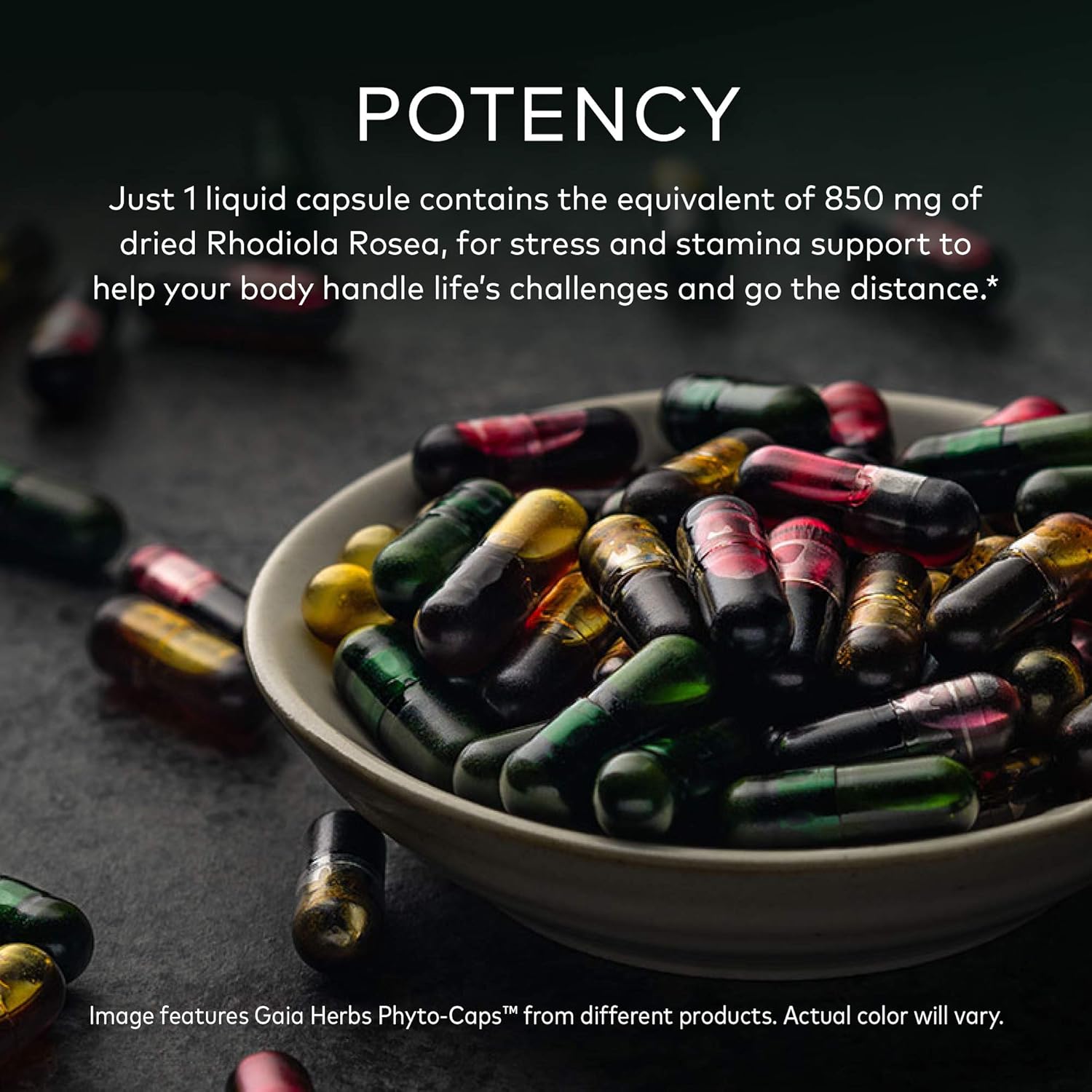 Gaia Herbs Rhodiola Rosea Liquid Capsules - Vegan Stress Support Supplement, Adaptogenic Herb - 120 Count