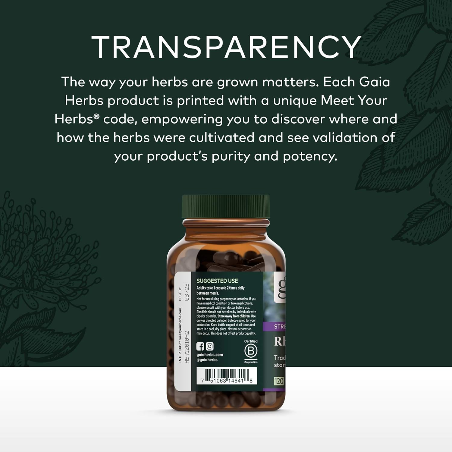 Gaia Herbs Rhodiola Rosea Liquid Capsules - Vegan Stress Support Supplement, Adaptogenic Herb - 120 Count