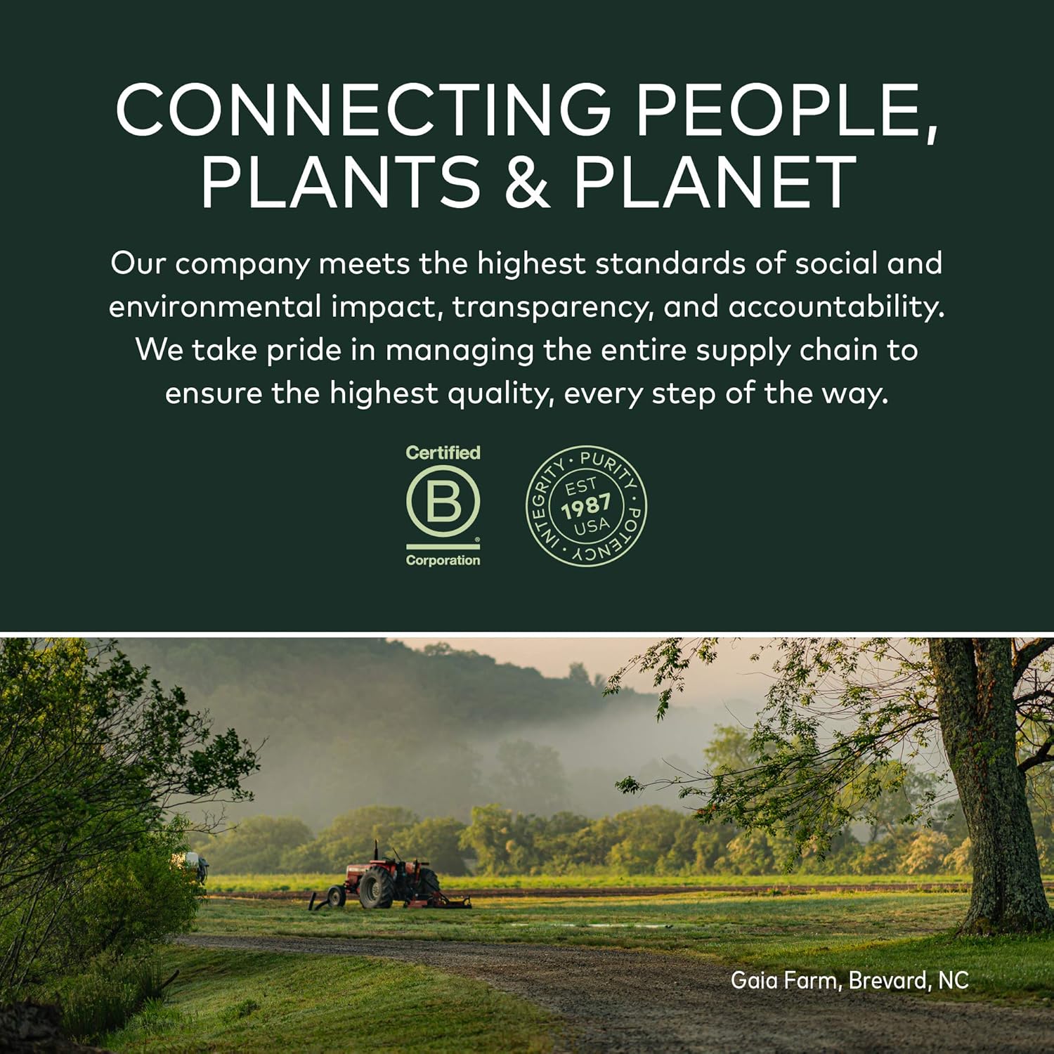 Gaia Herbs Rhodiola Rosea Liquid Capsules - Vegan Stress Support Supplement, Adaptogenic Herb - 120 Count