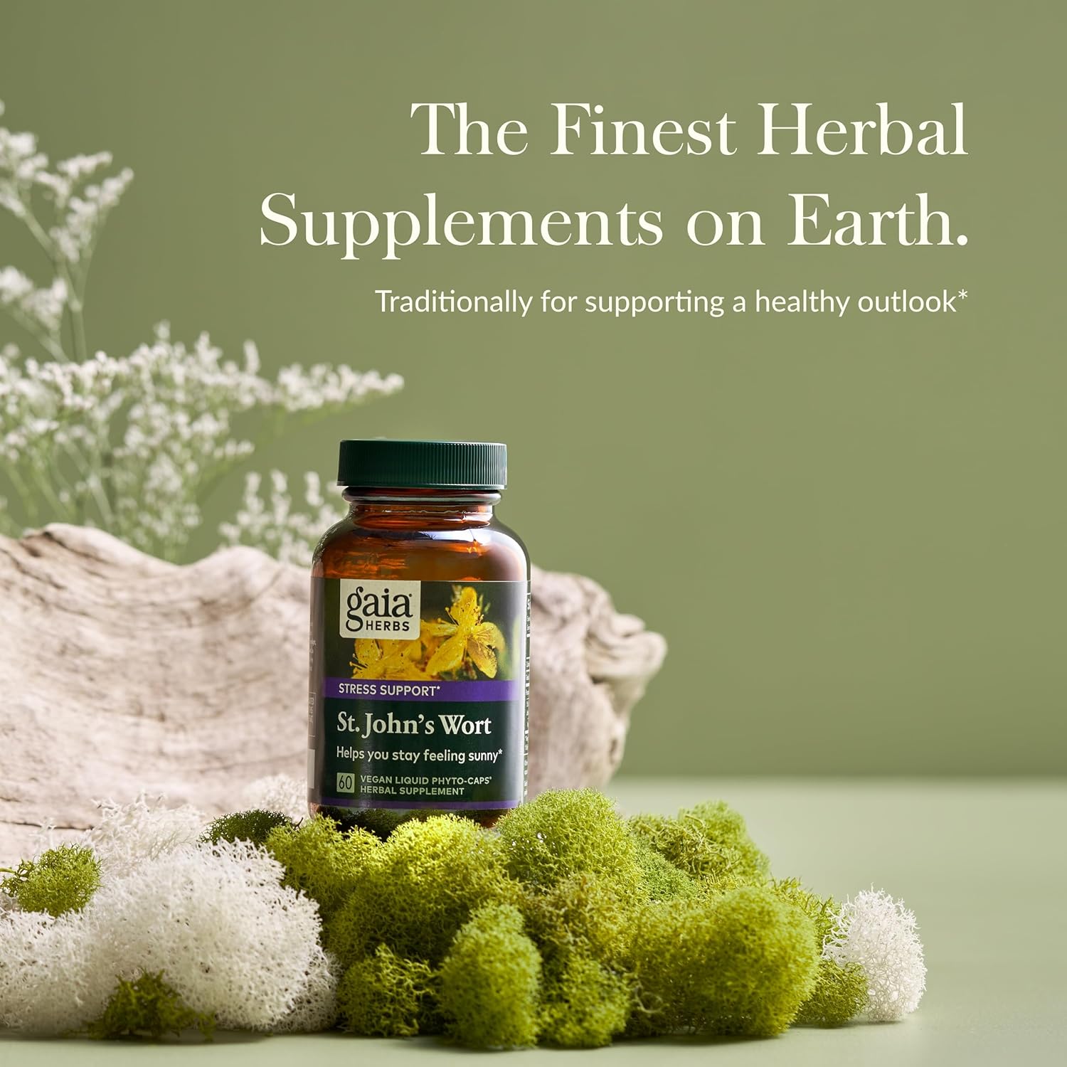 Gaia Herbs St. John's Wort Supplement - Natural Stress Support - 60 Vegan Capsules for 20 Days