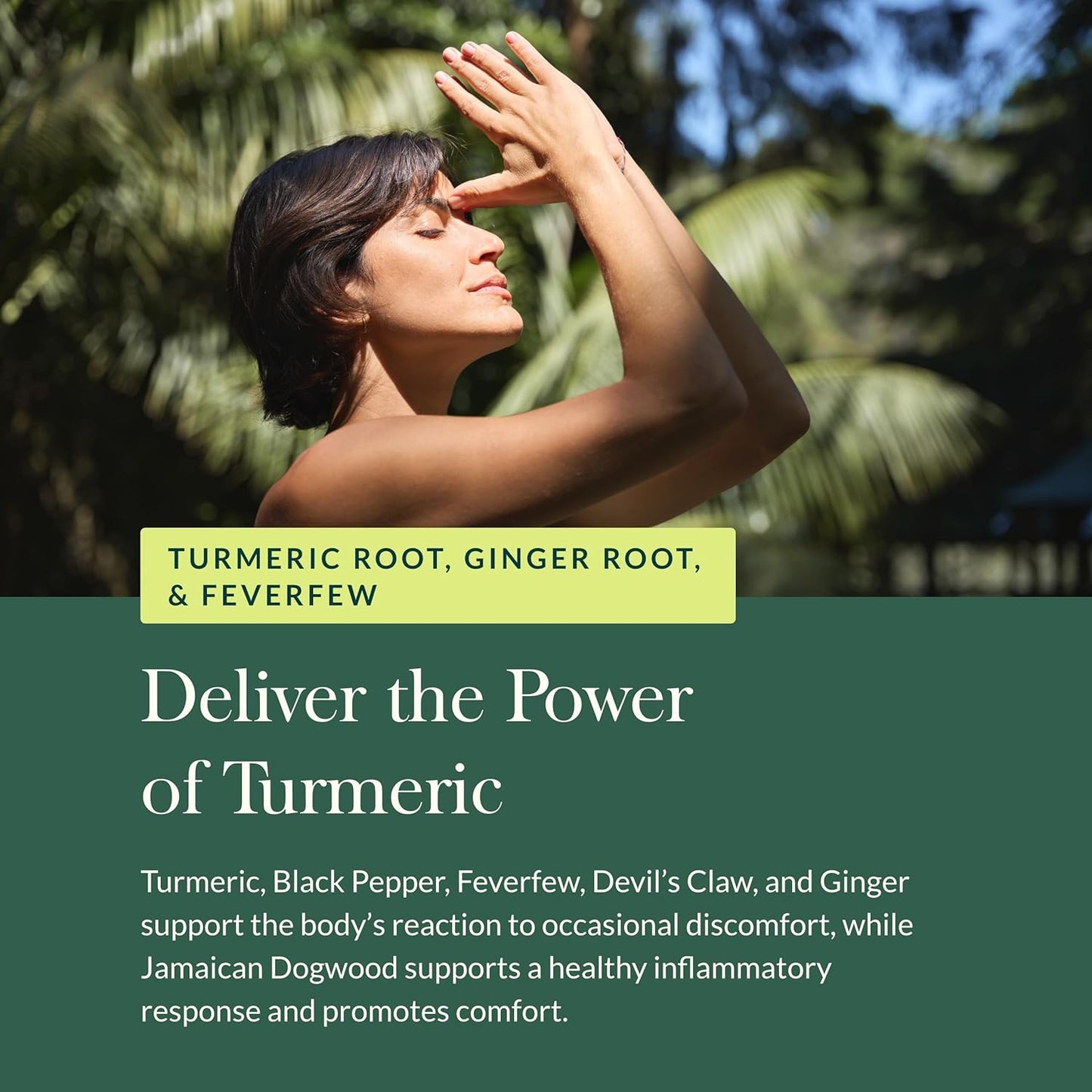 Gaia Herbs Turmeric Supreme Pain Relief Supplement - Vegan Liquid Capsules (60 Count)