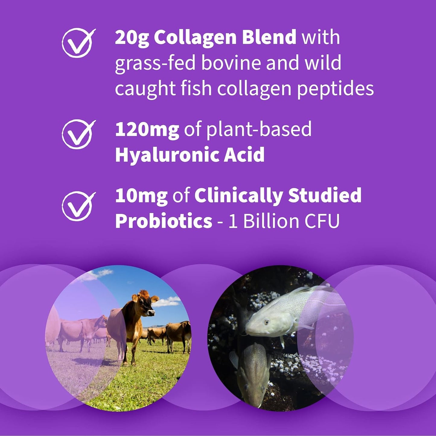 Garden of Life Collagen and Beets Bundle: Multi-Sourced Collagen with Hyaluronic Acid, Organic Detox Beets, Cranberry Pomegranate Flavor, Collagen Peptides Powder - 56 Servings