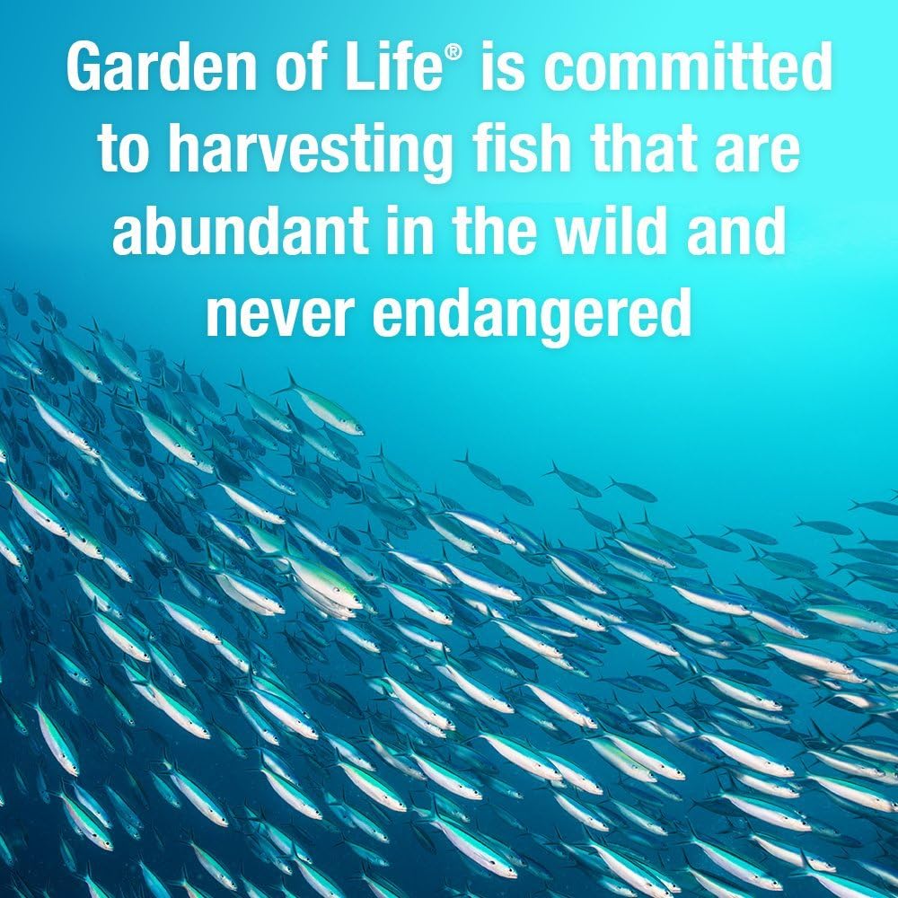 Garden of Life Oceans 3 Better Brain Supplement - Ultra Pure EPA/DHA Omega 3 Fish Oil with Antioxidants, 90 Softgels
