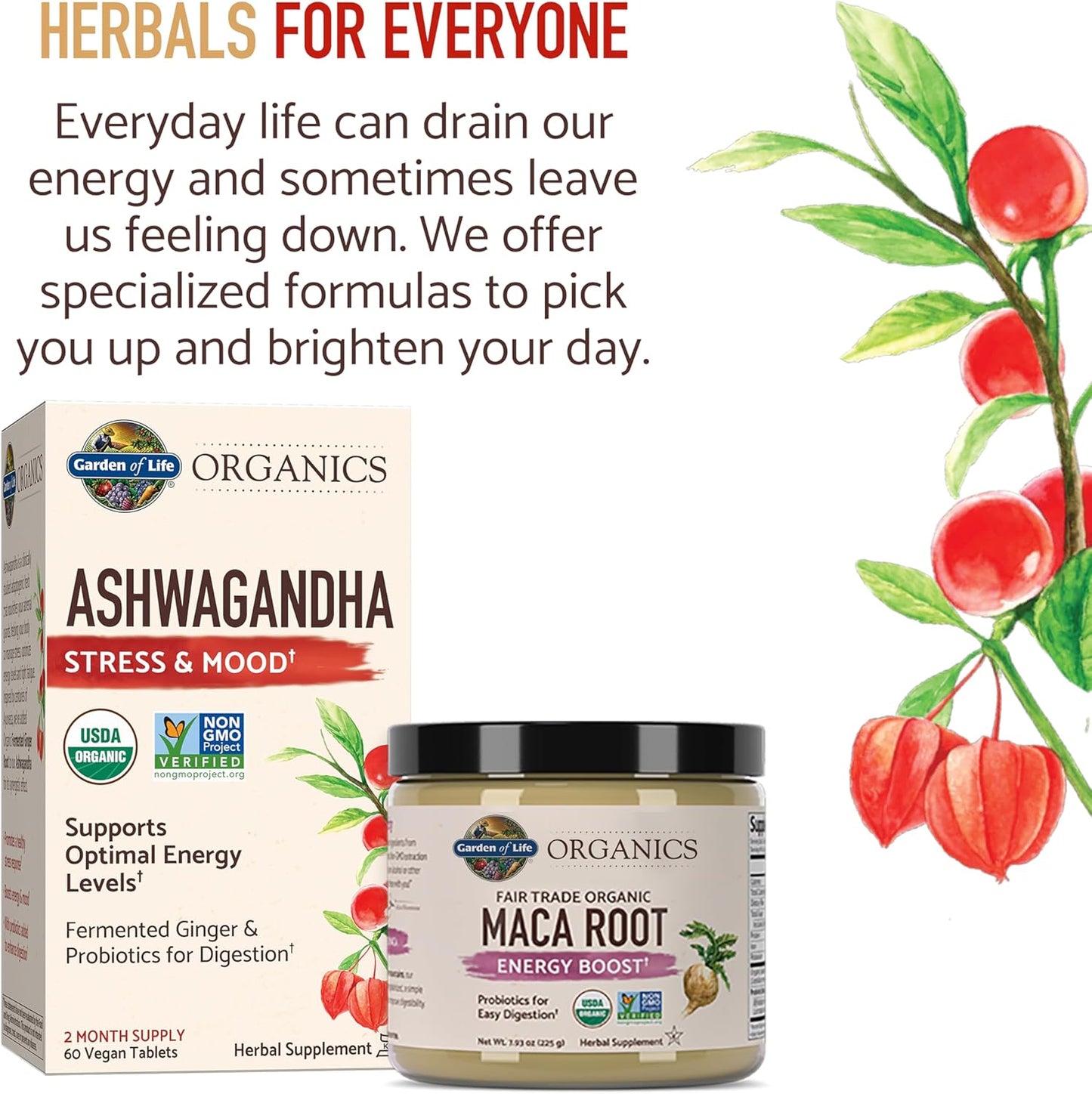 Garden of Life Organics Ashwagandha Supplement with Probiotics & Ginger - Stress, Mood, Energy Support - Vegan, Gluten Free, Non GMO - 60 Tablets, 2 Month Supply