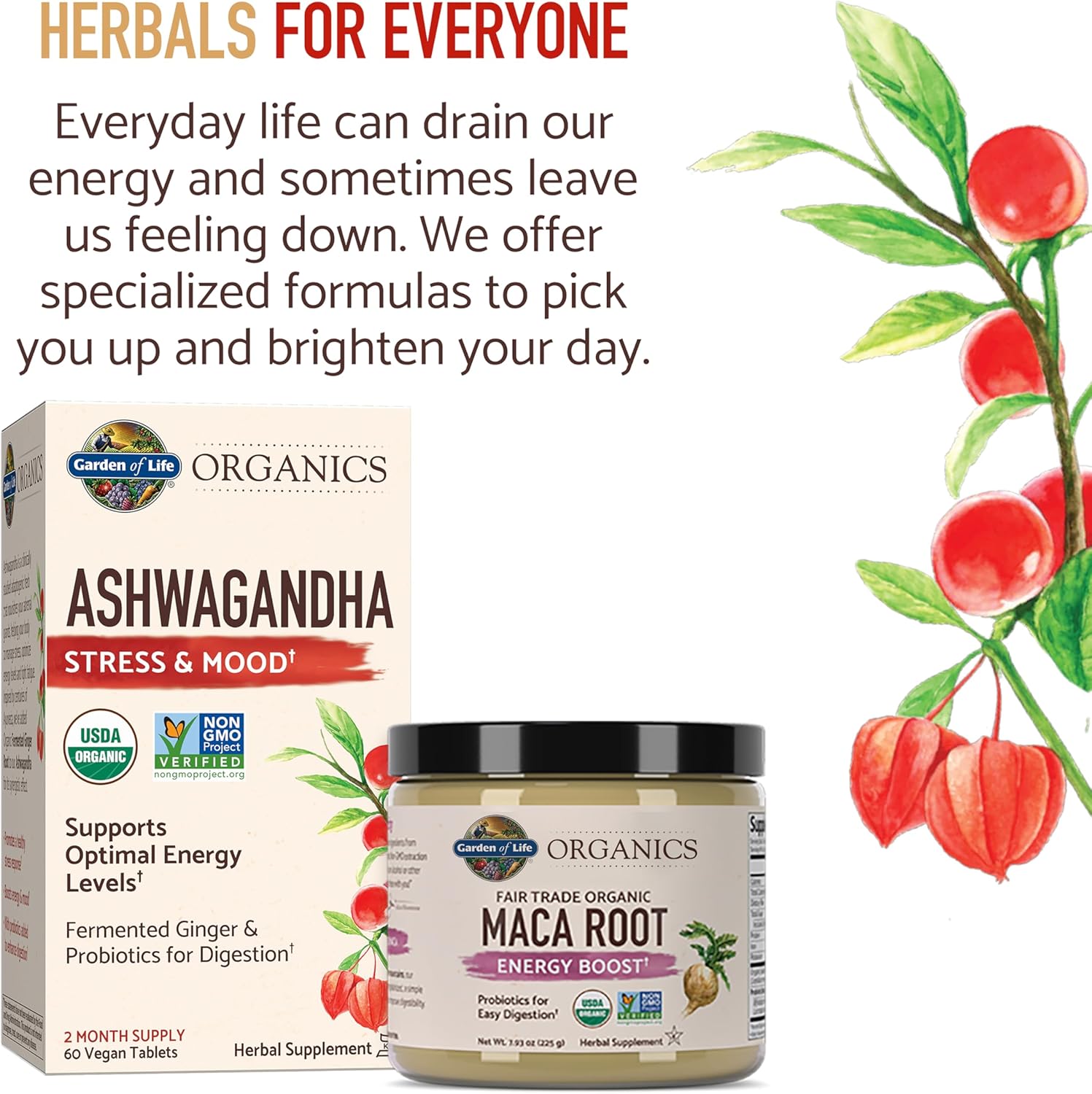 Garden of Life Organics Ashwagandha Supplement with Probiotics & Ginger - Stress, Mood, Energy Support - Vegan, Gluten Free, Non GMO - 60 Tablets, 2 Month Supply