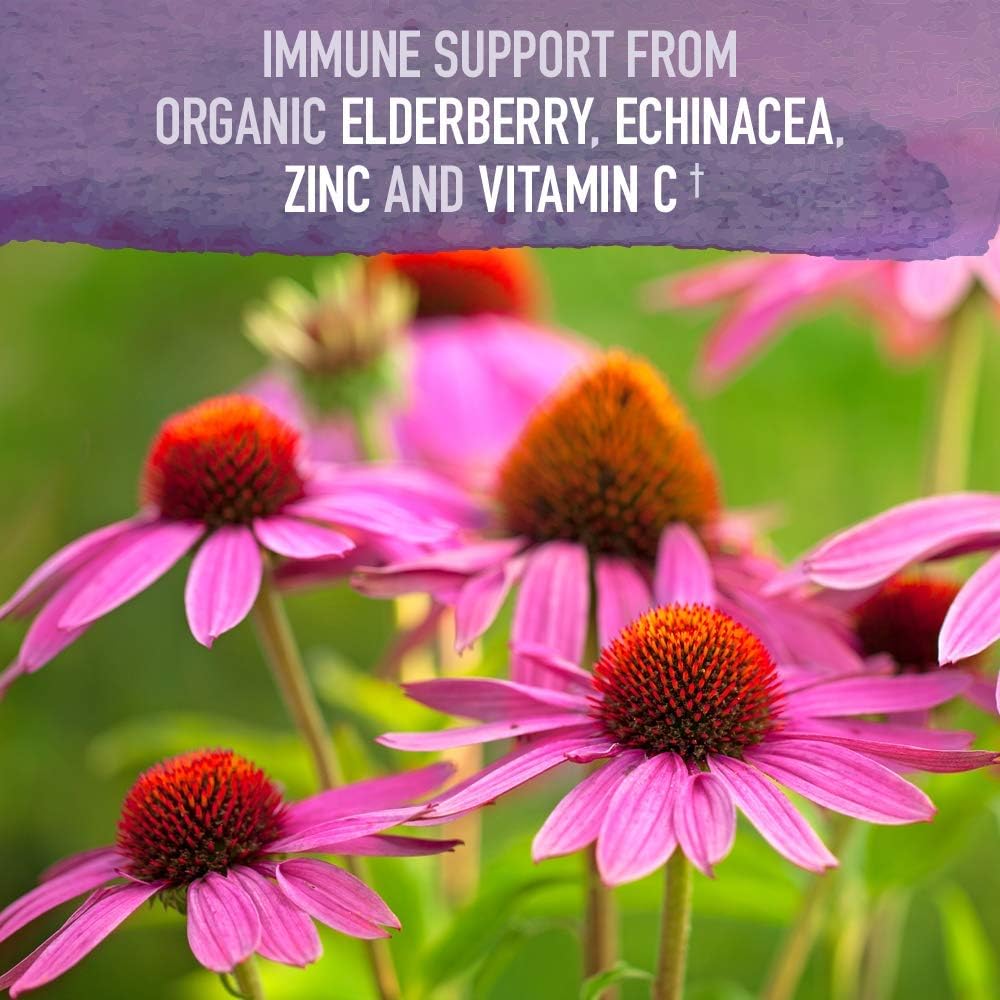 Garden of Life Organics Plant-Based Elderberry Immune Syrup with High Potency Zinc and Vitamin C Supplements