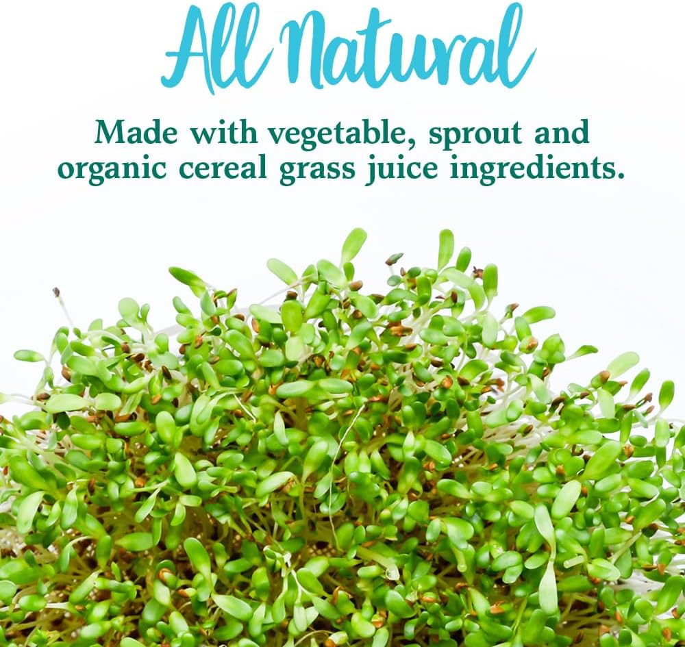 Garden of Life Perfect Food Super Green Formula - 30 Servings | Superfood Powder with 45 Greens, Fruits, Veggies, Probiotics, and Spirulina for Digestion & Immune Support