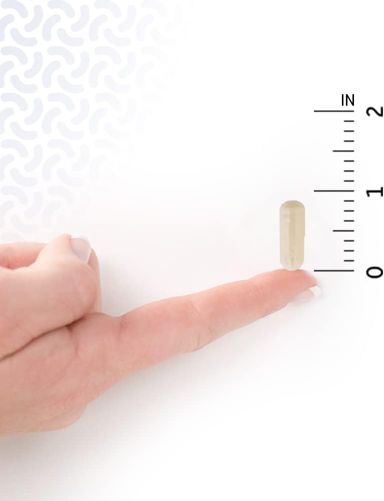 Garden of Life Probiotic Bundle: Men's & Women's Once Daily Probiotics, 50 Billion CFU, Non-GMO, Shelf Stable with Prebiotic Fiber - 30 Capsules