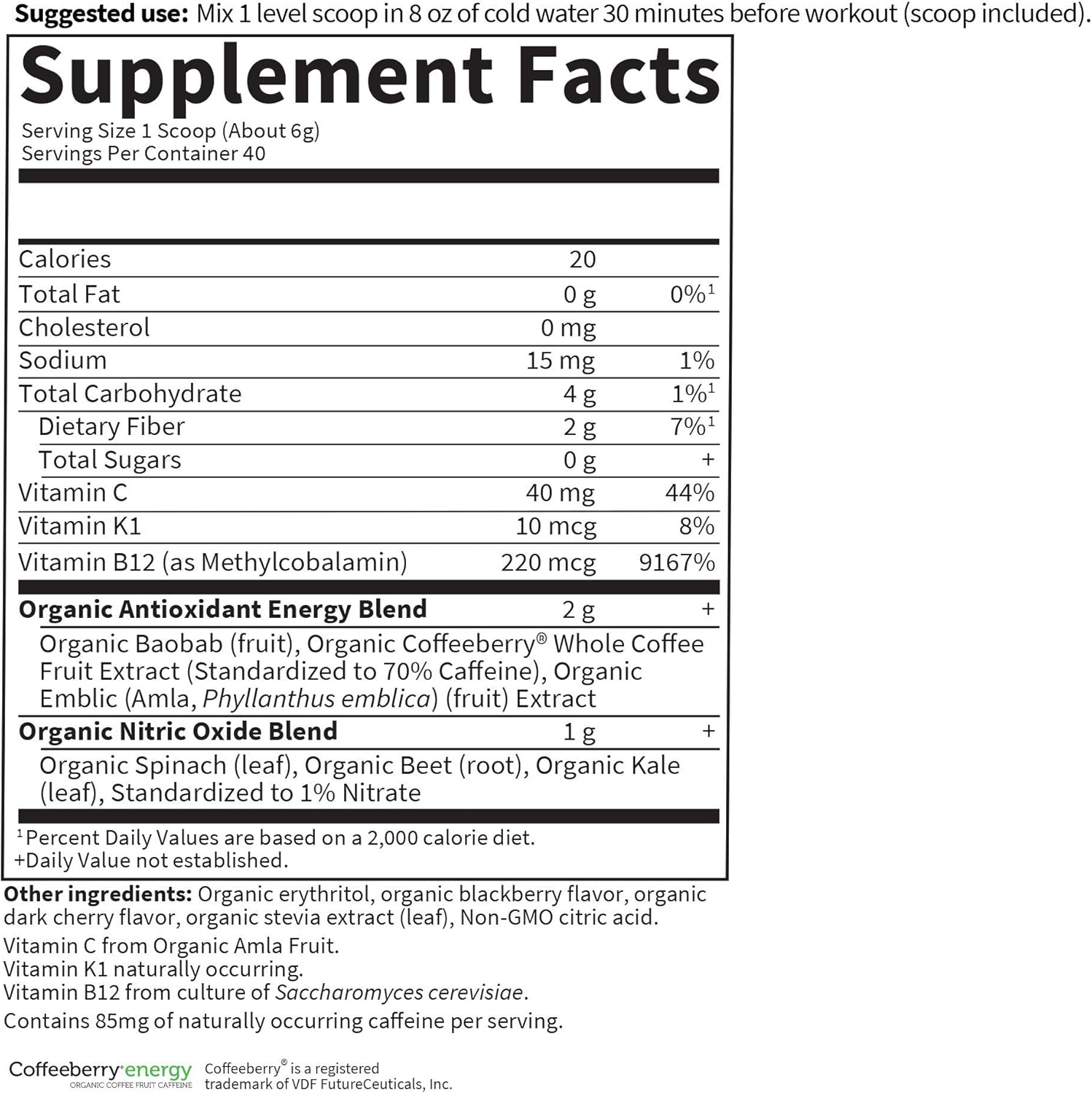 Garden of Life Sport Organic Plant-Based Energy + Focus Pre Workout Powder - BlackBerry Cherry, 85mg Caffeine, B12 - Vegan, Gluten & Sugar Free - Natural NO Booster - 40 Servings, 8.14 Oz